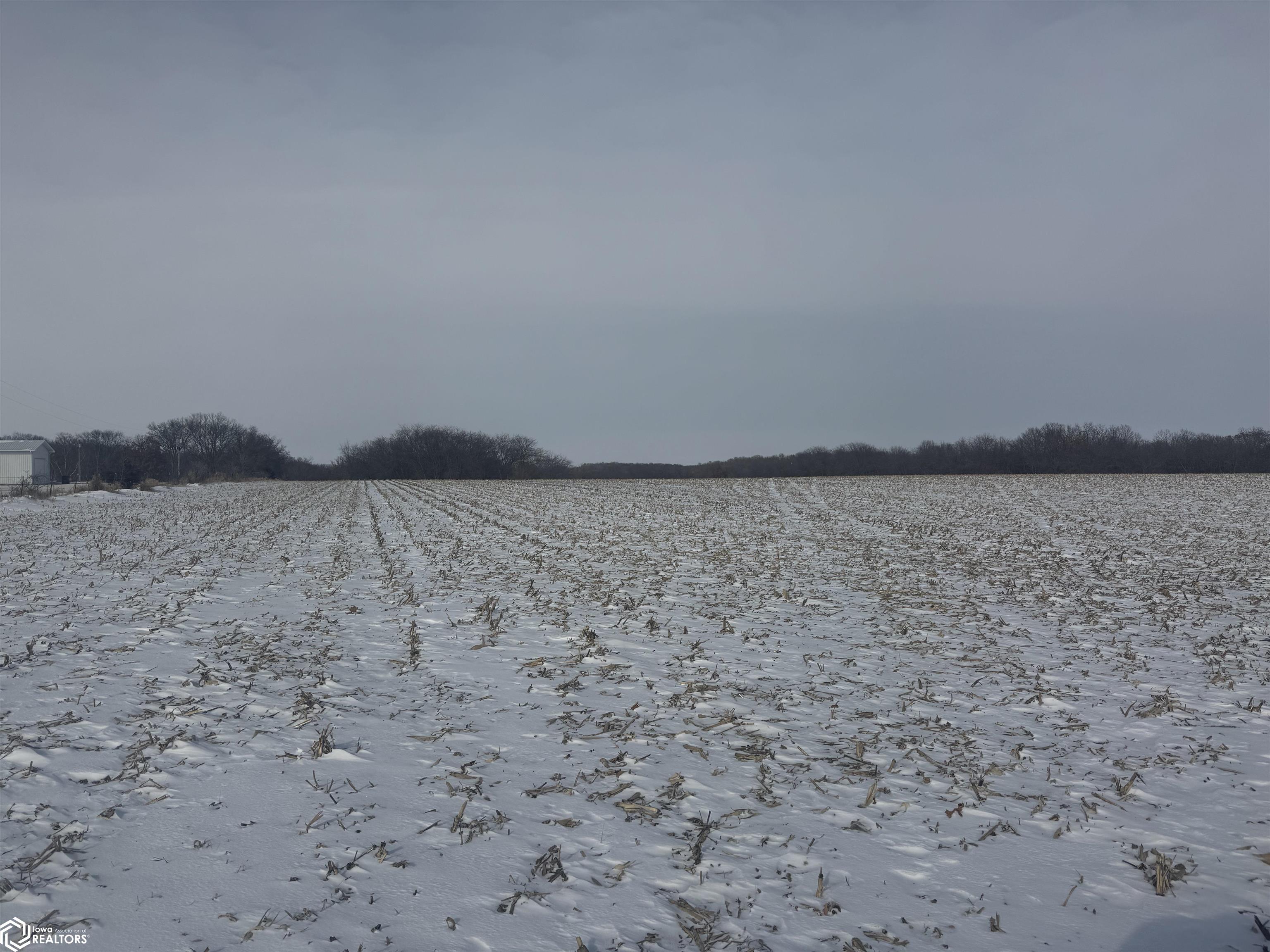 Pine Avenue, Fairfield, Iowa image 9