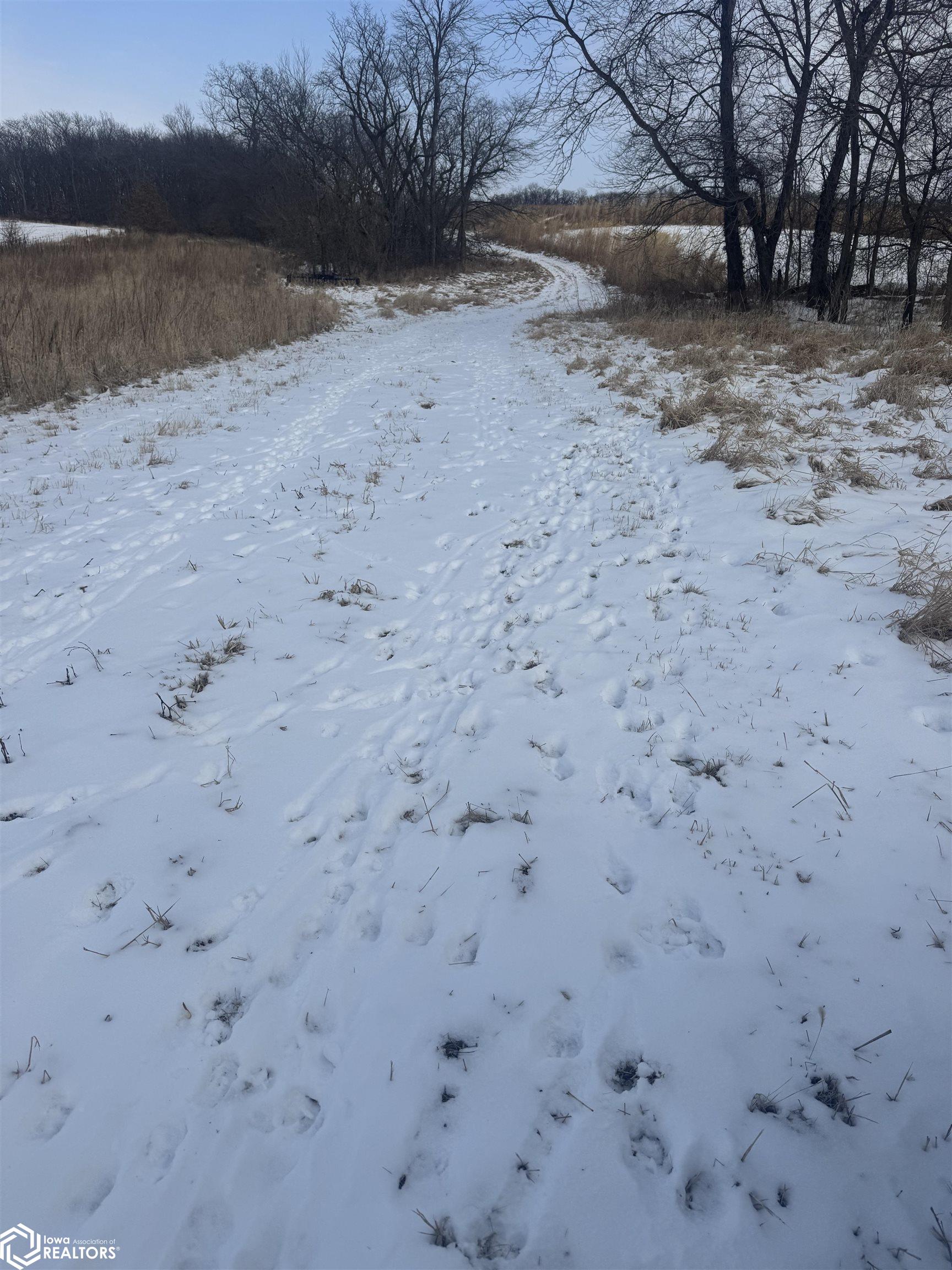 Pine Avenue, Fairfield, Iowa image 10