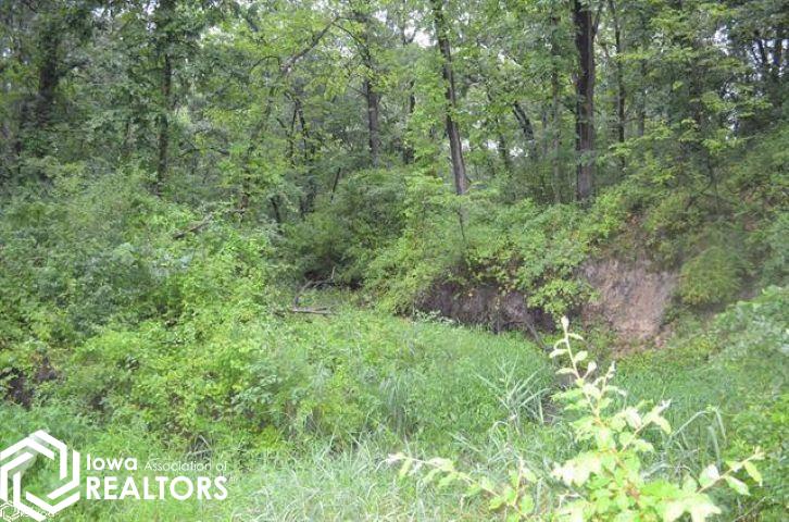 2356 Timberlane Heights, Ottumwa, Iowa image 40