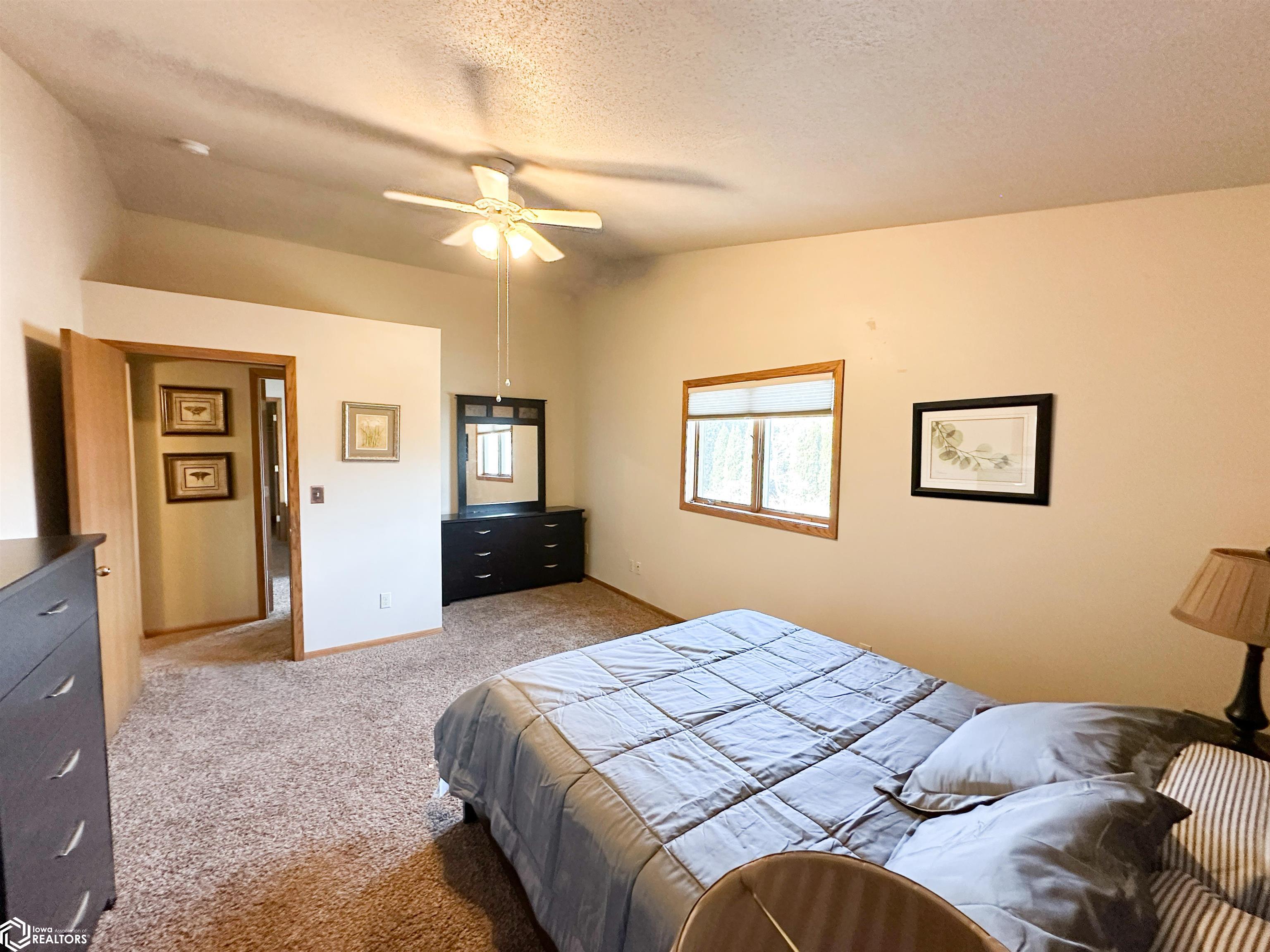 2306 3rd Avenue, Clear Lake, Iowa image 26