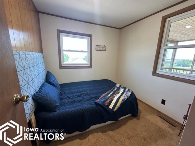 6043 N Lakeshore Drive, Brooklyn, Iowa image 13