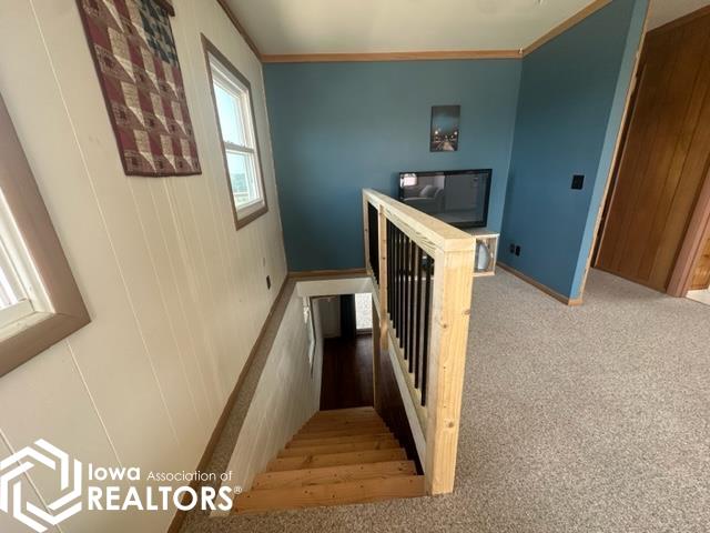 6043 N Lakeshore Drive, Brooklyn, Iowa image 8