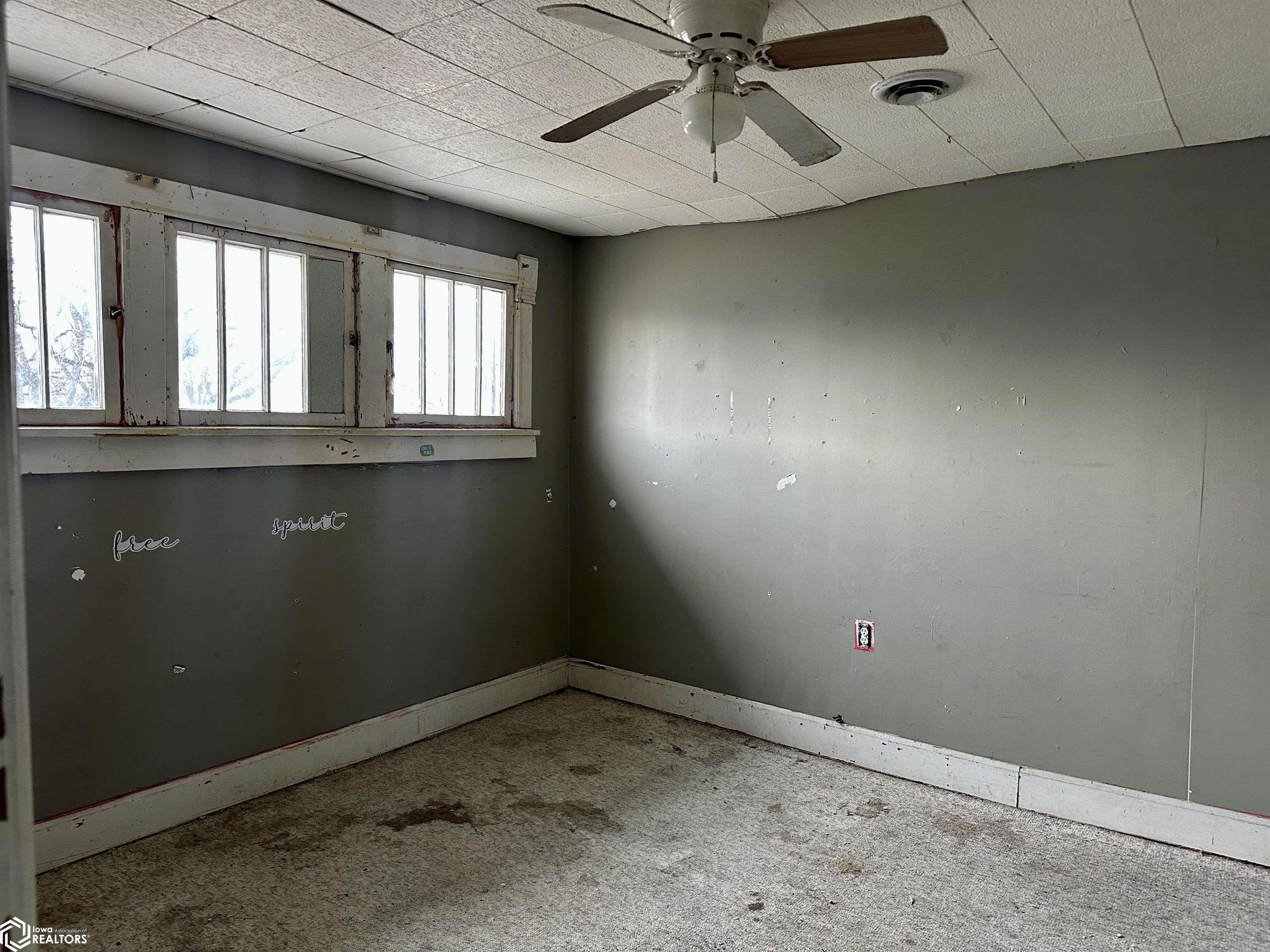 207 N Swarts St, Abingdon, Illinois image 16