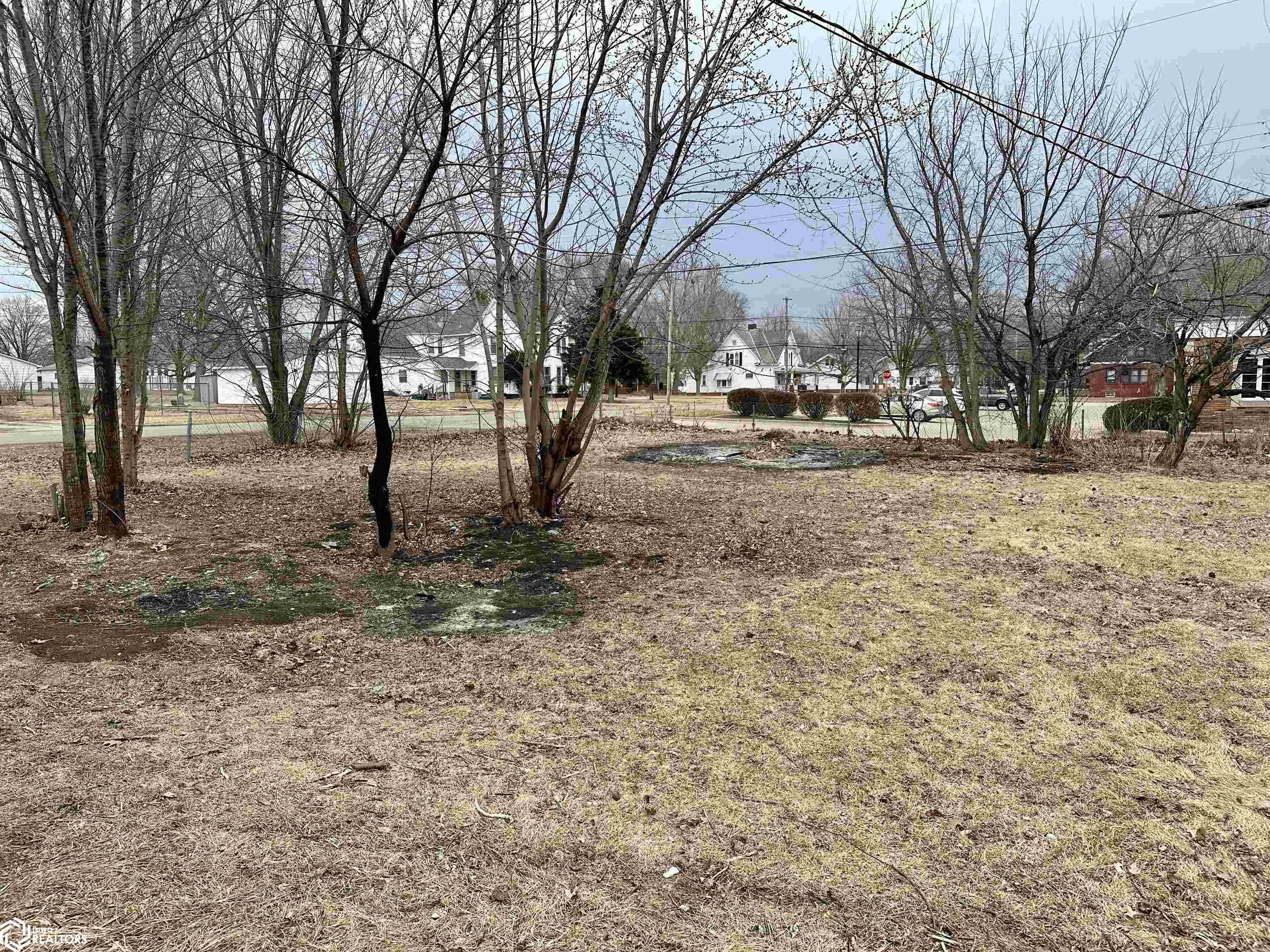 207 N Swarts St, Abingdon, Illinois image 26