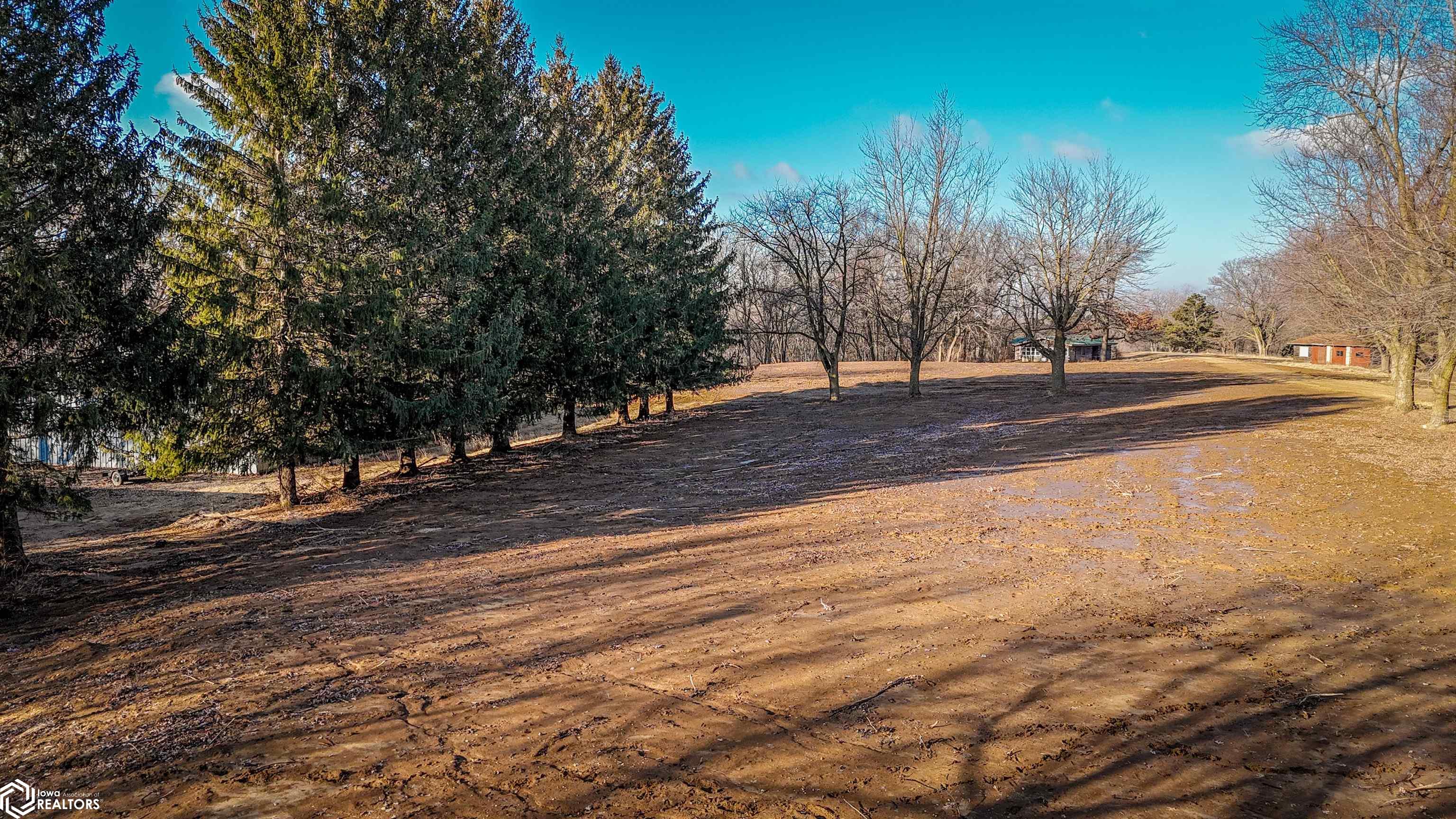 TBD Boy Scouts Road, Central City, Iowa image 11