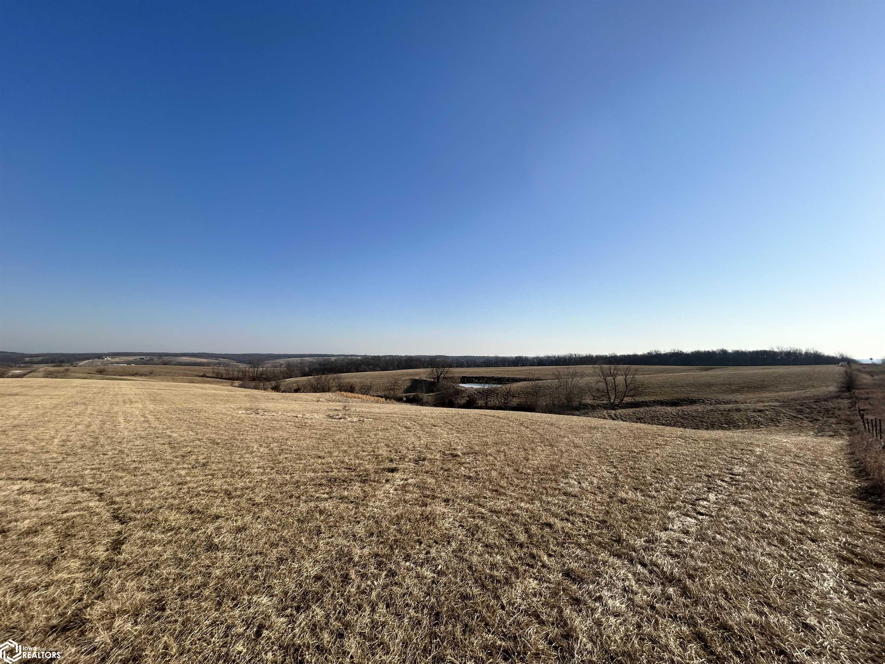 000 195th Street, Pulaski, Iowa image 3