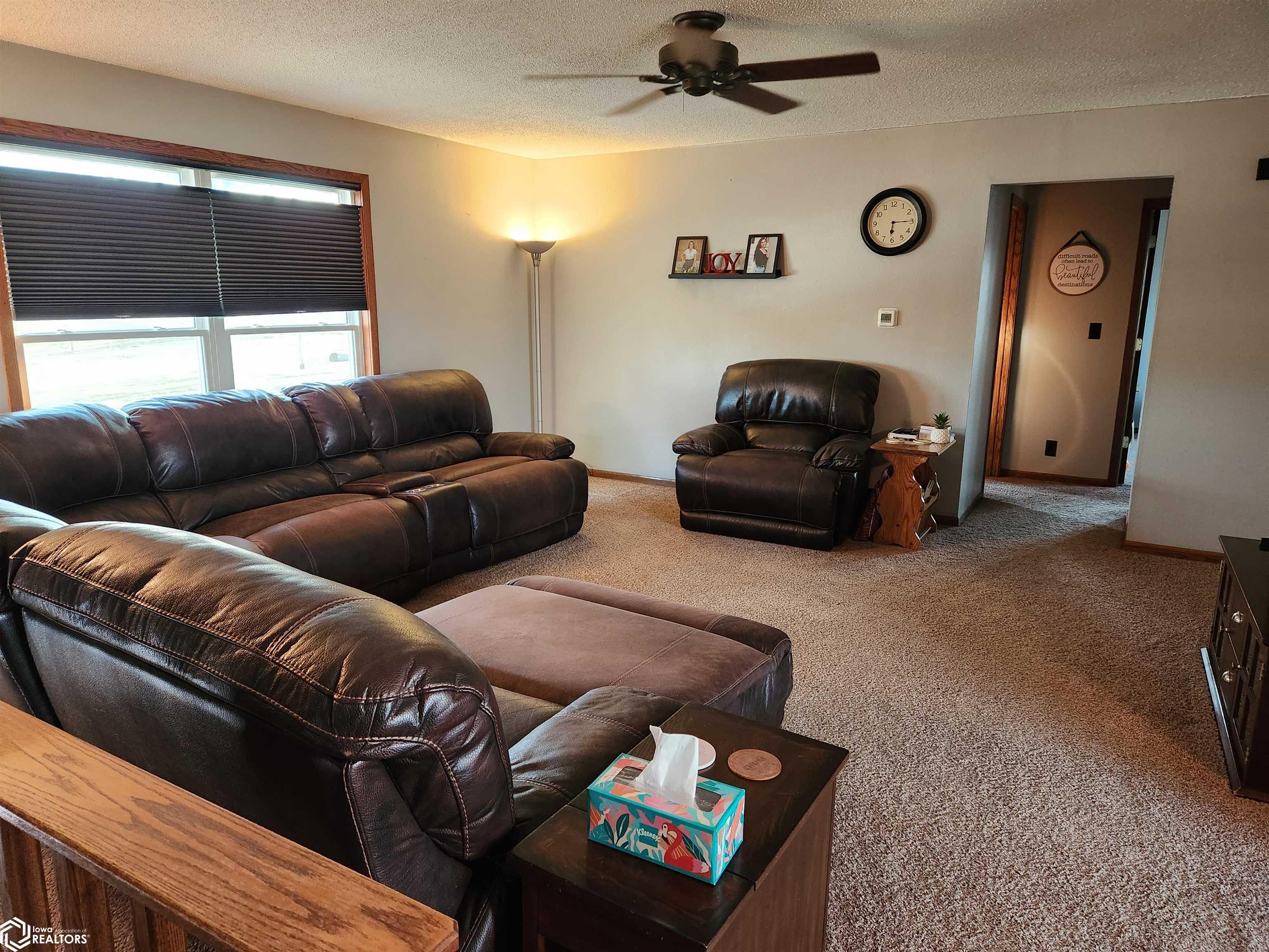 707 E Harrison Street, Toledo, Iowa image 6