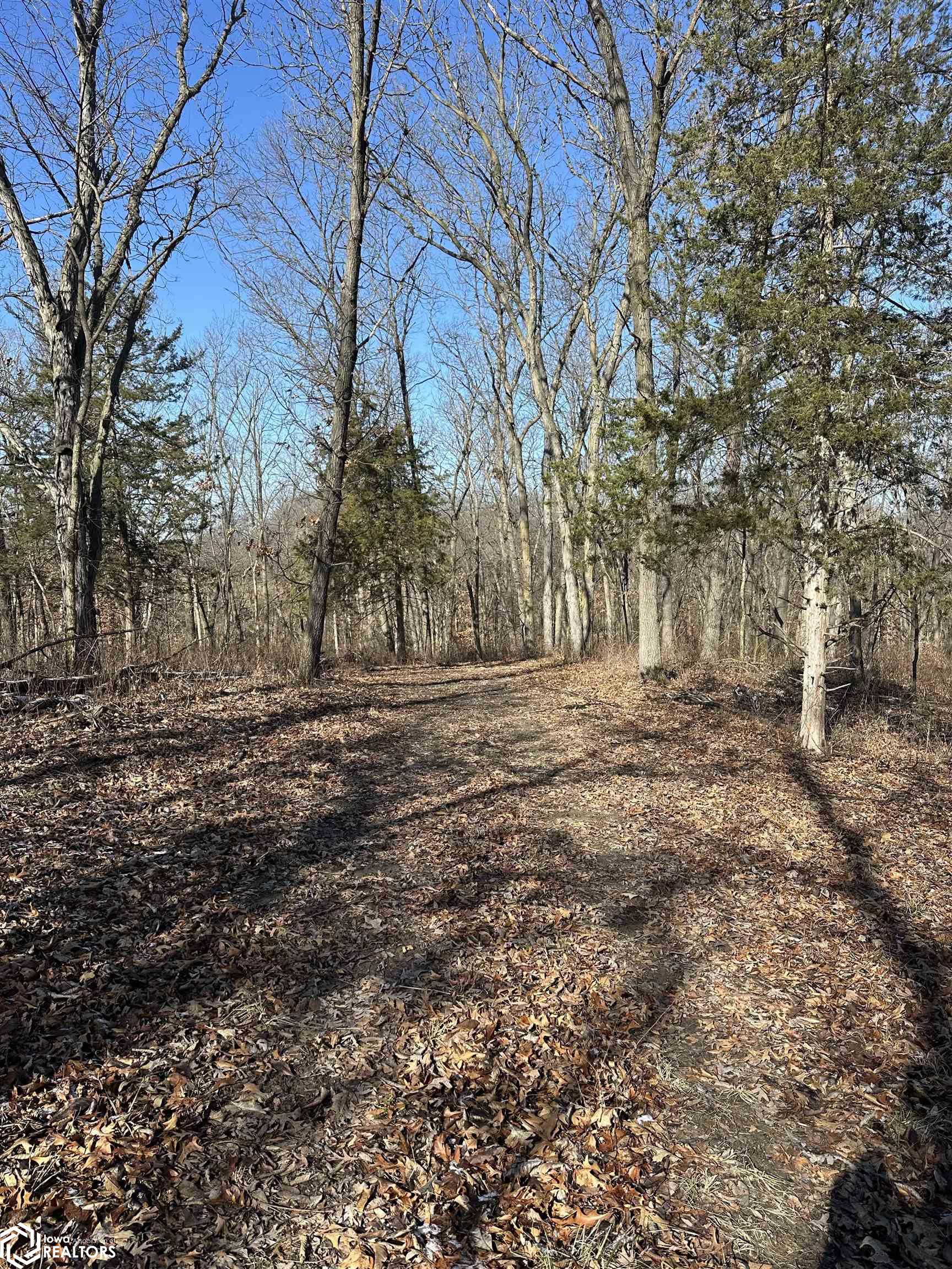 Hickory Avenue, Birmingham, Iowa image 11