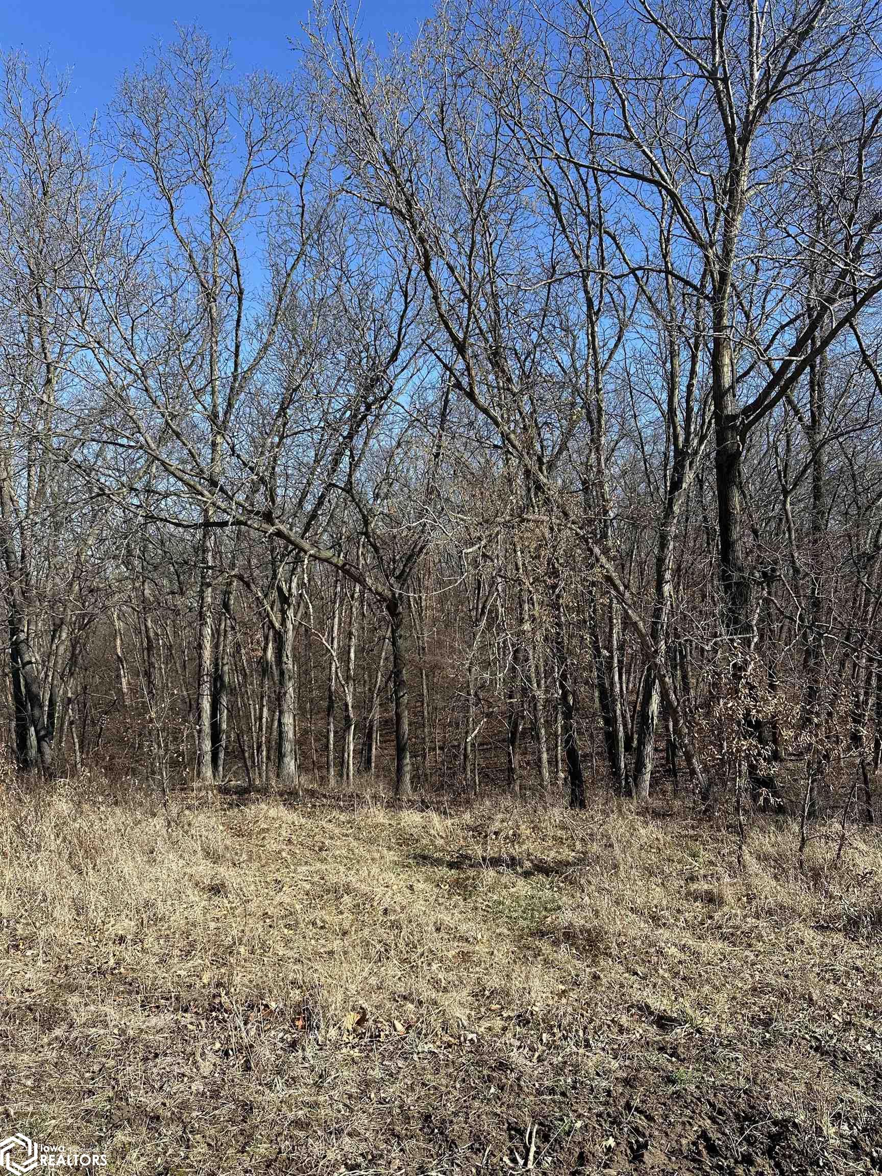 Hickory Avenue, Birmingham, Iowa image 14