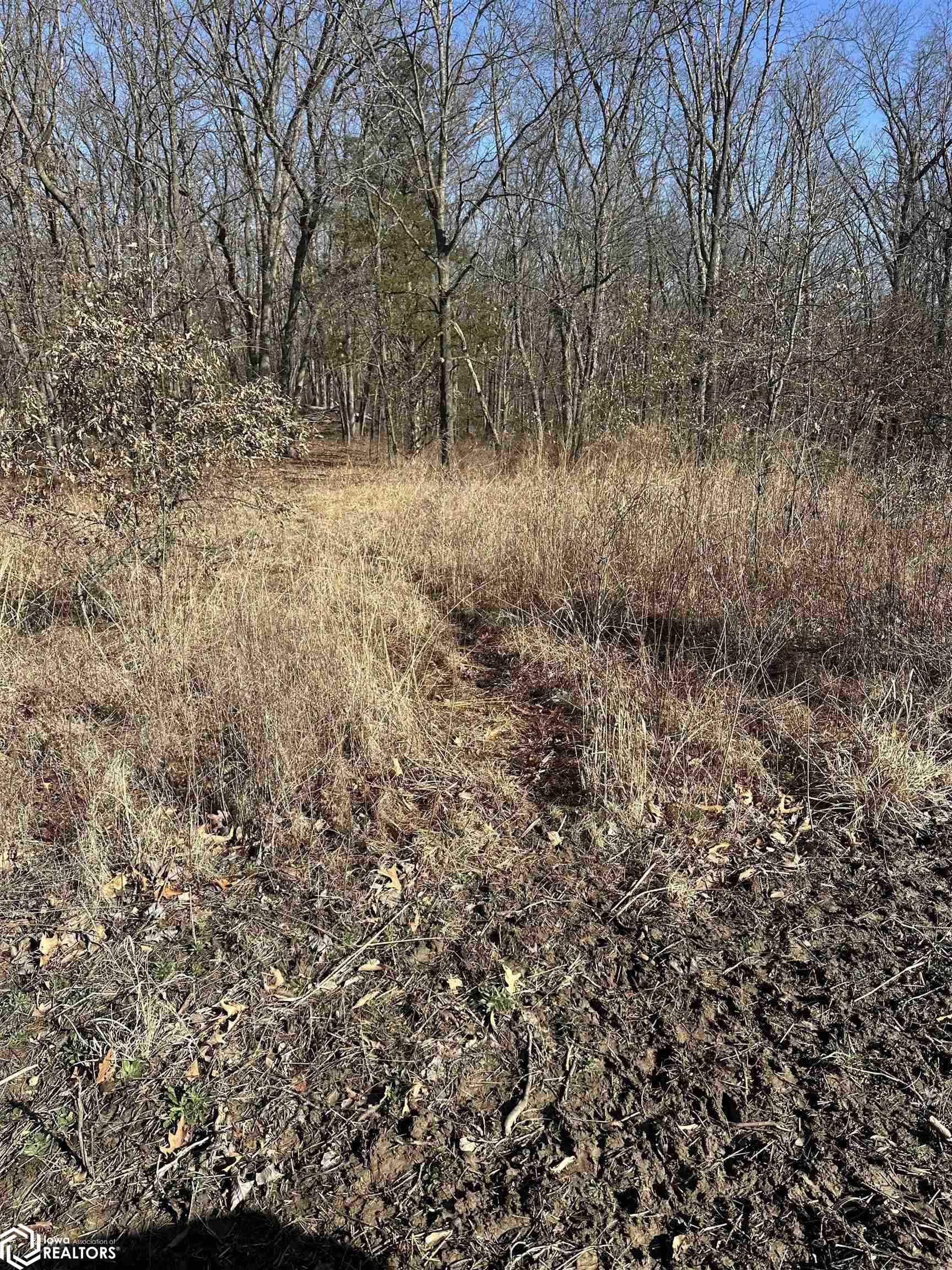 Hickory Avenue, Birmingham, Iowa image 15