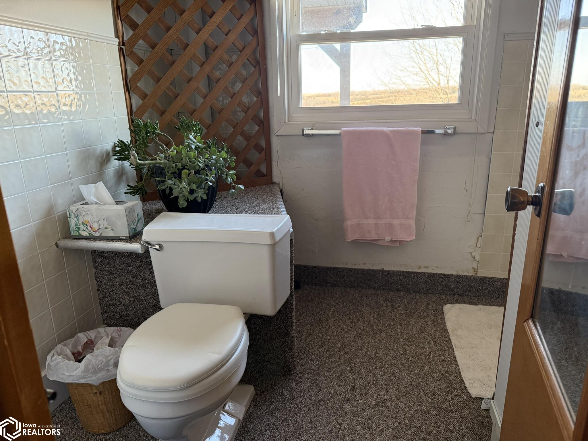 2017 Quincy Street, Corning, Iowa image 45