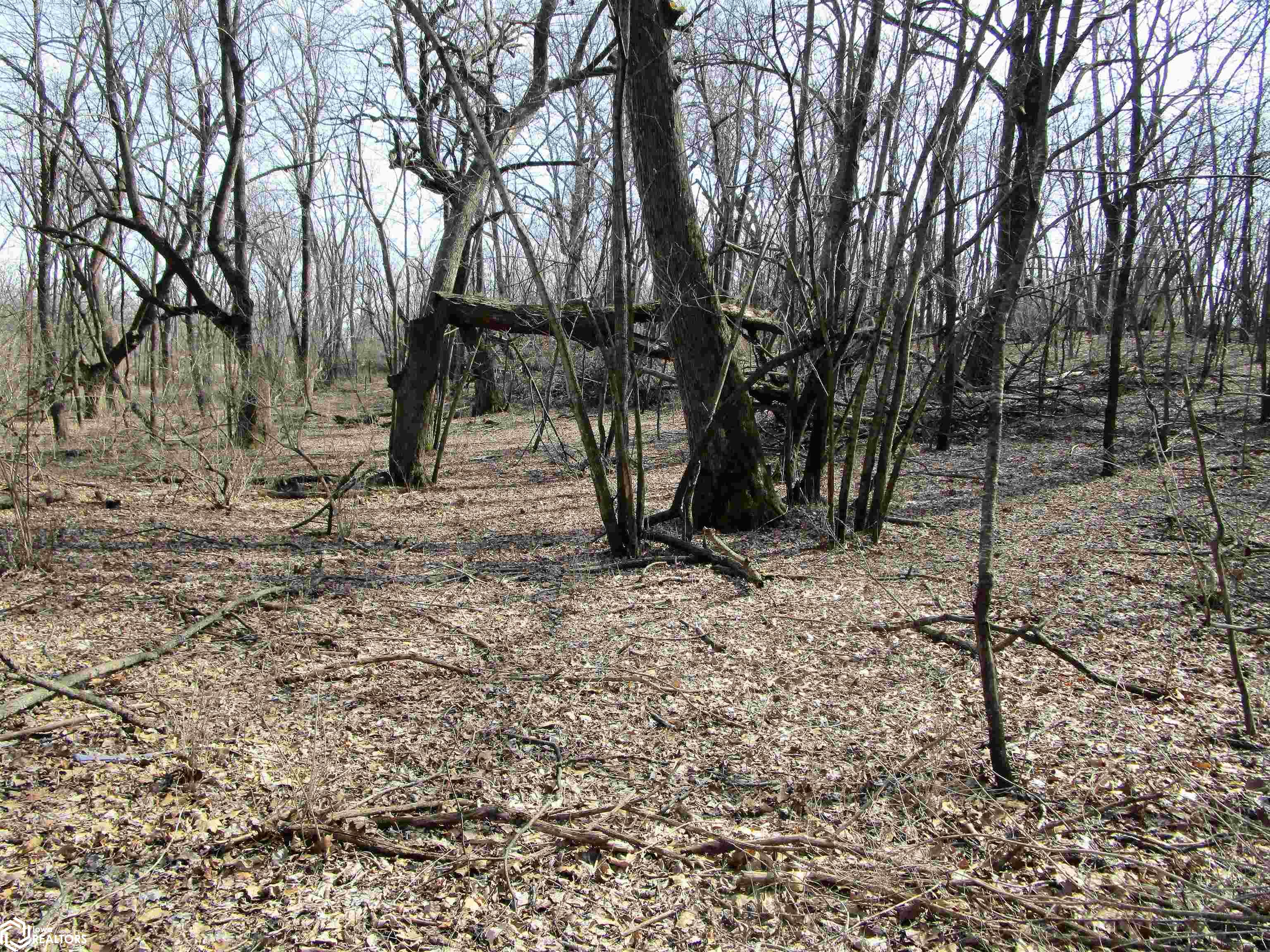 556 Hardin Road, Alden, Iowa image 12