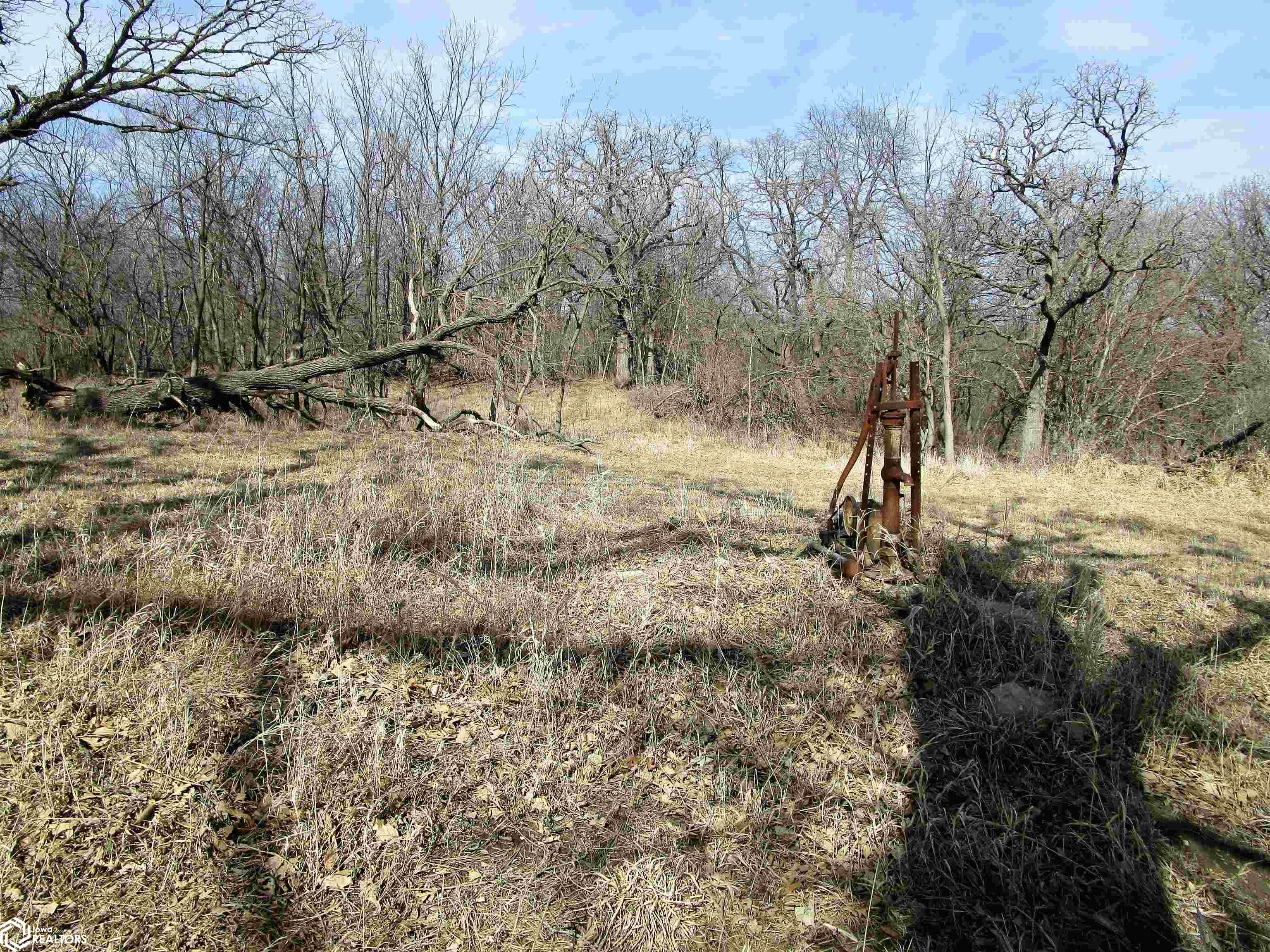 556 Hardin Road, Alden, Iowa image 16