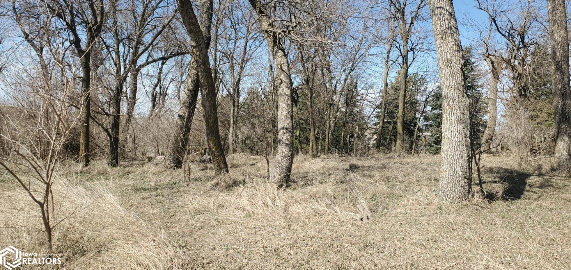 1330 180th Street, Schleswig, Iowa image 31