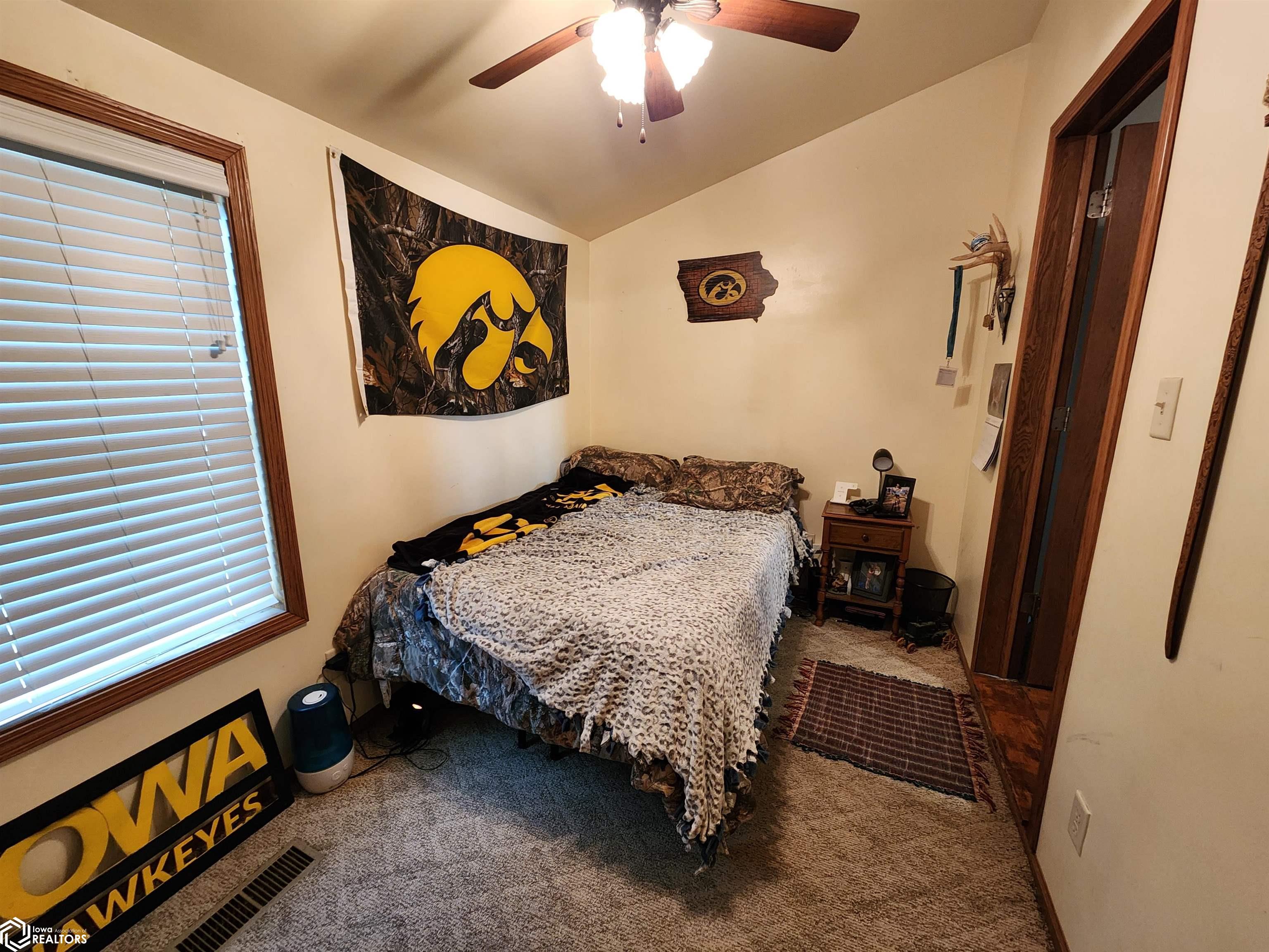 201 C Street, Toledo, Iowa image 11