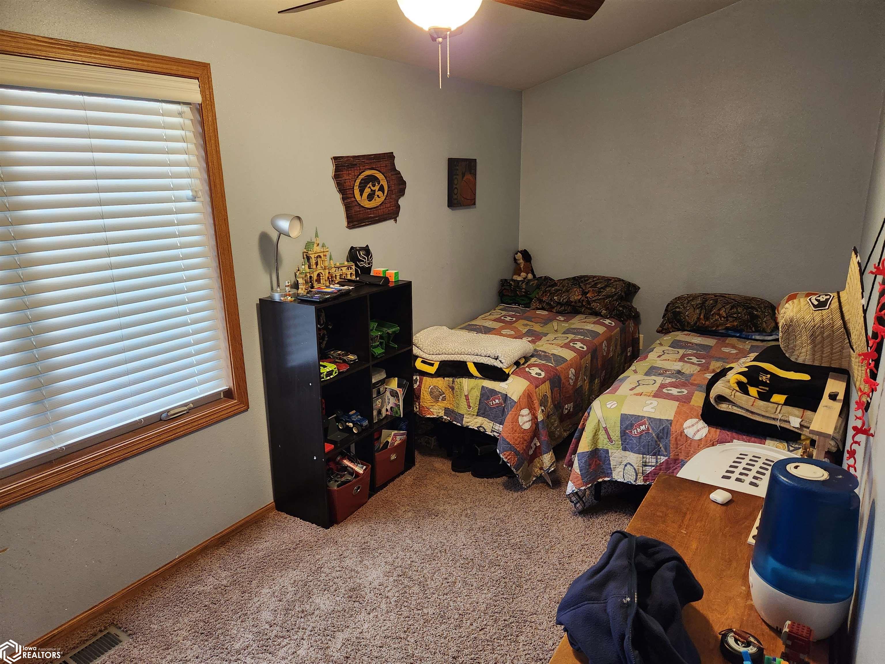 201 C Street, Toledo, Iowa image 12