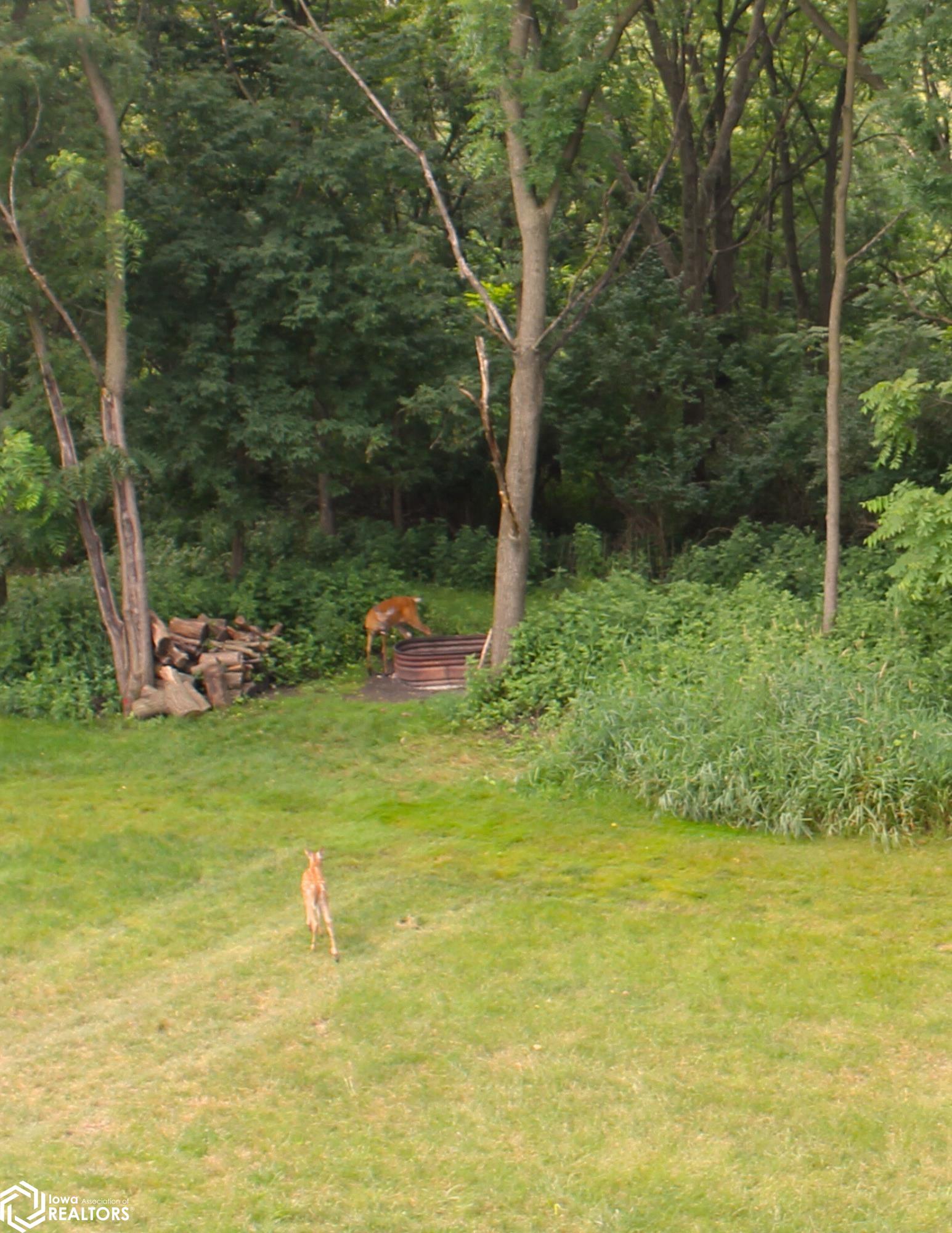 140 Sweetgrass Lane, Forest City, Iowa image 43