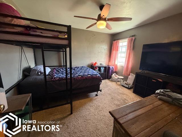 215 Linden Court, Brooklyn, Iowa image 12