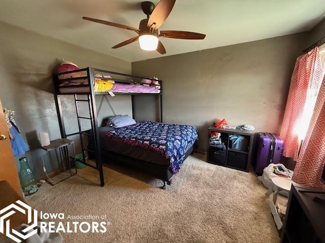 215 Linden Court, Brooklyn, Iowa image 13