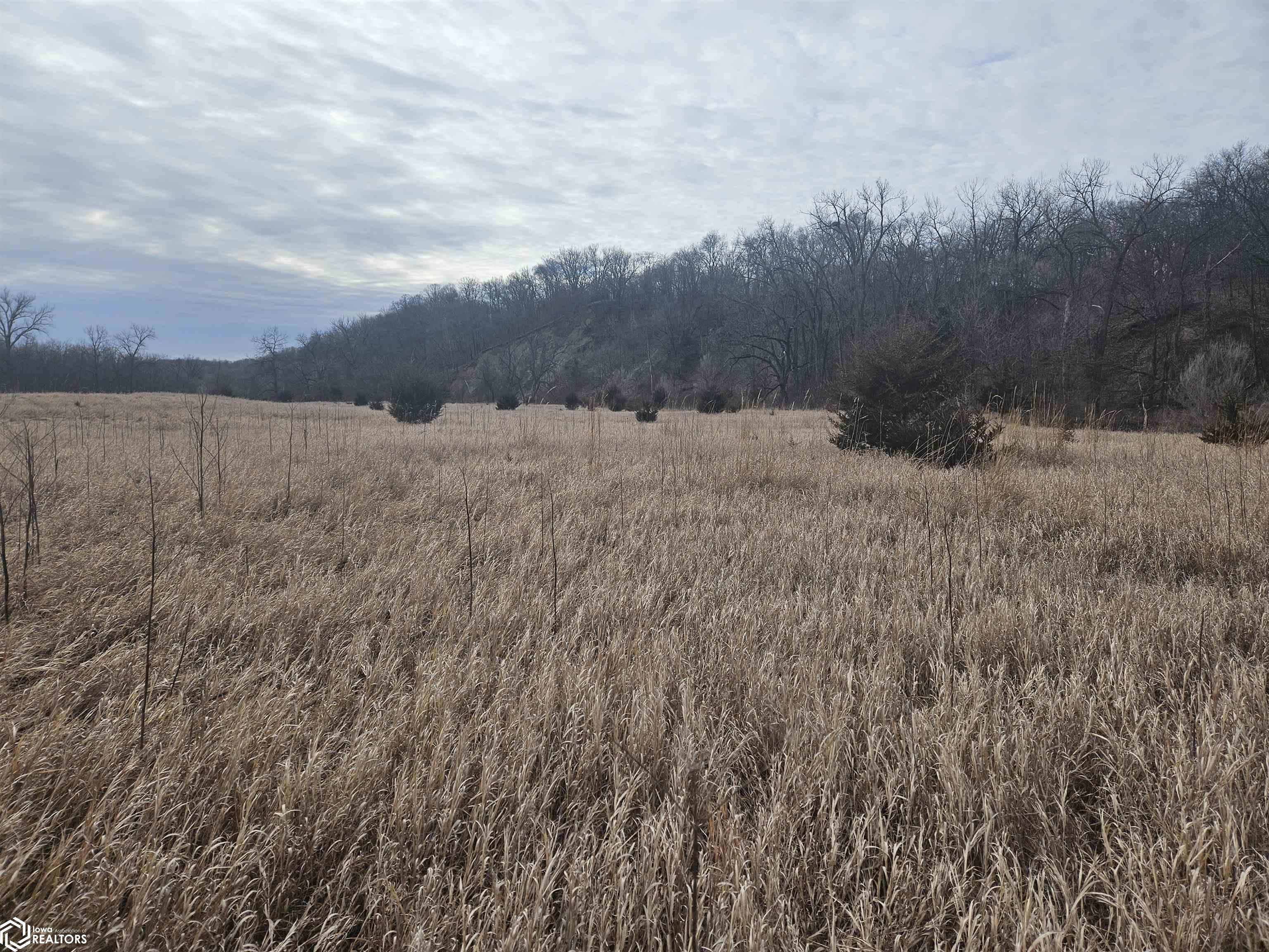 3070 Stagecoach Rd, Stratford, Iowa image 13