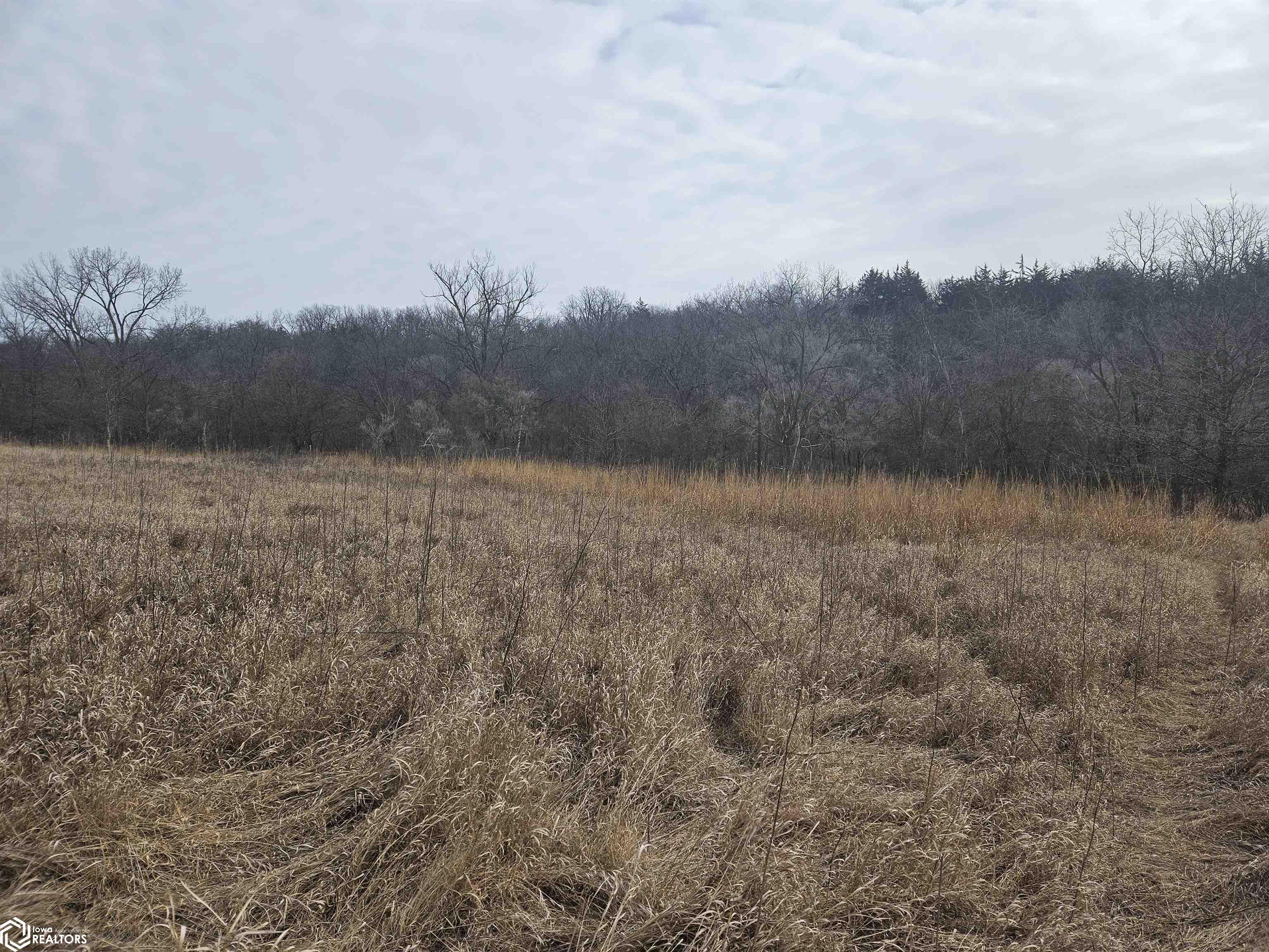 3070 Stagecoach Rd, Stratford, Iowa image 9