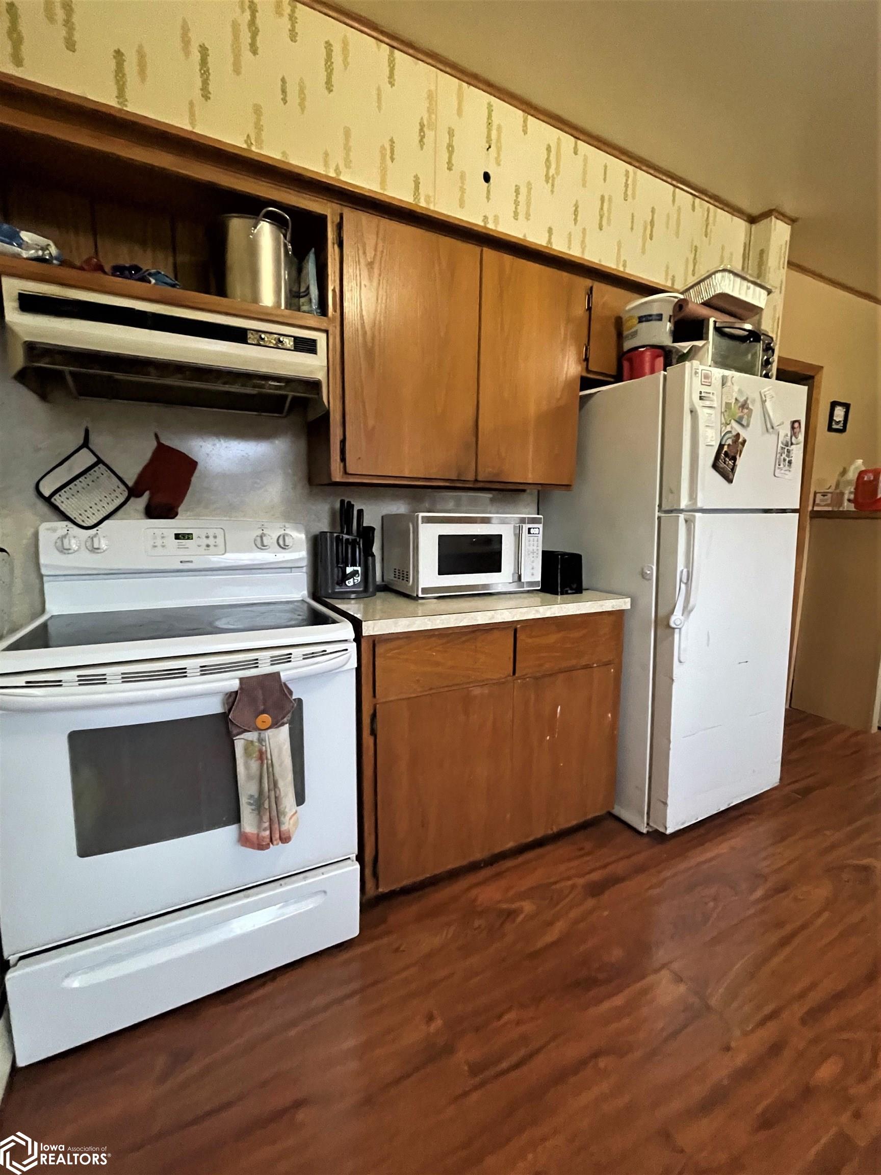 101 5th Street, Swea City, Iowa image 4