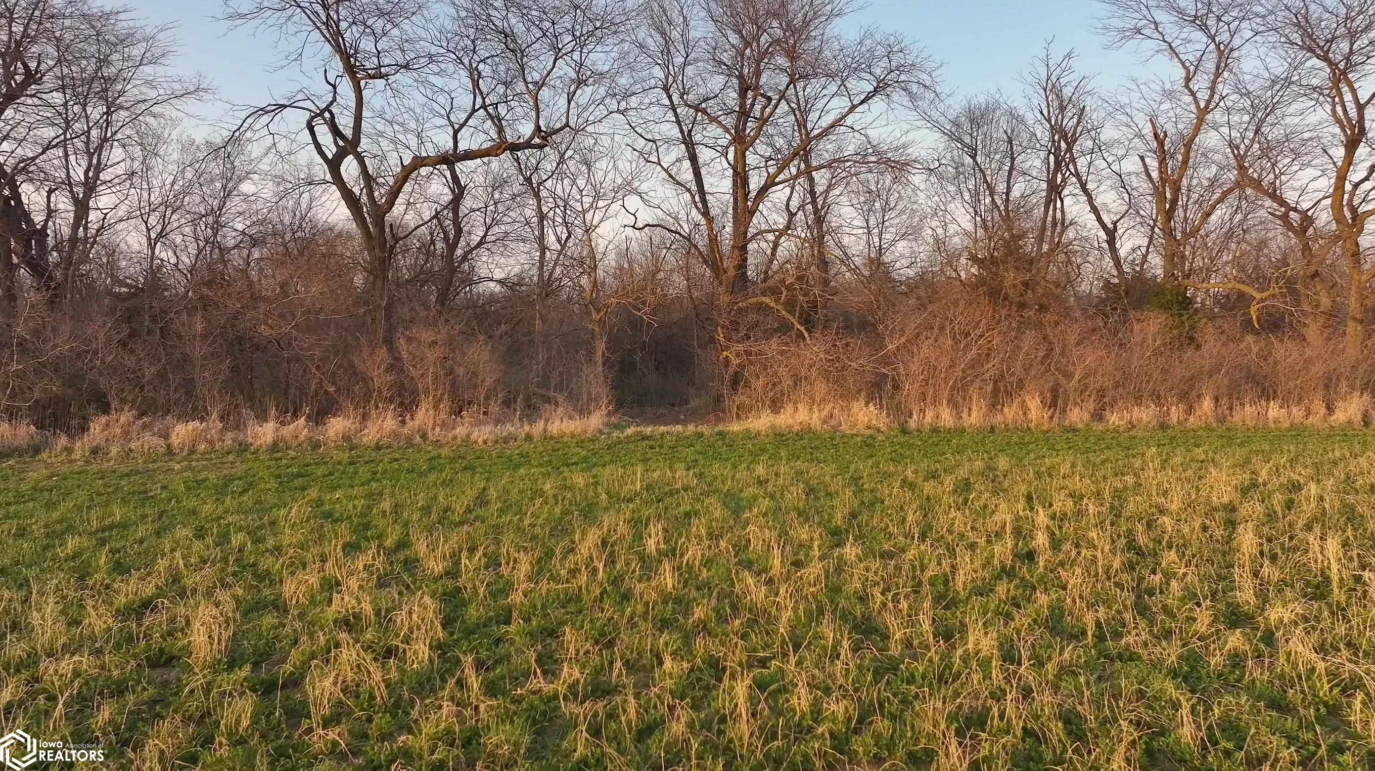 Whiskey Ridge Road, Ottumwa, Iowa image 14
