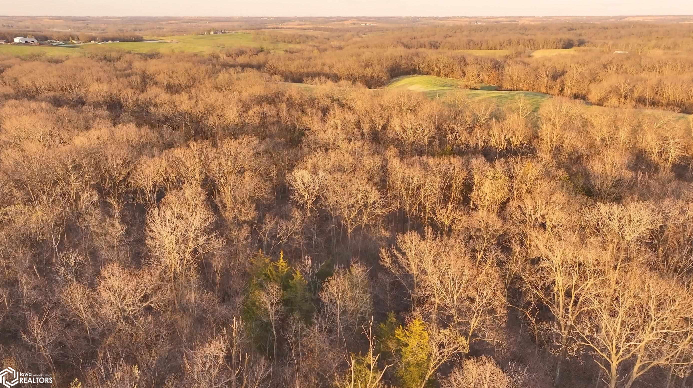 Whiskey Ridge Road, Ottumwa, Iowa image 5