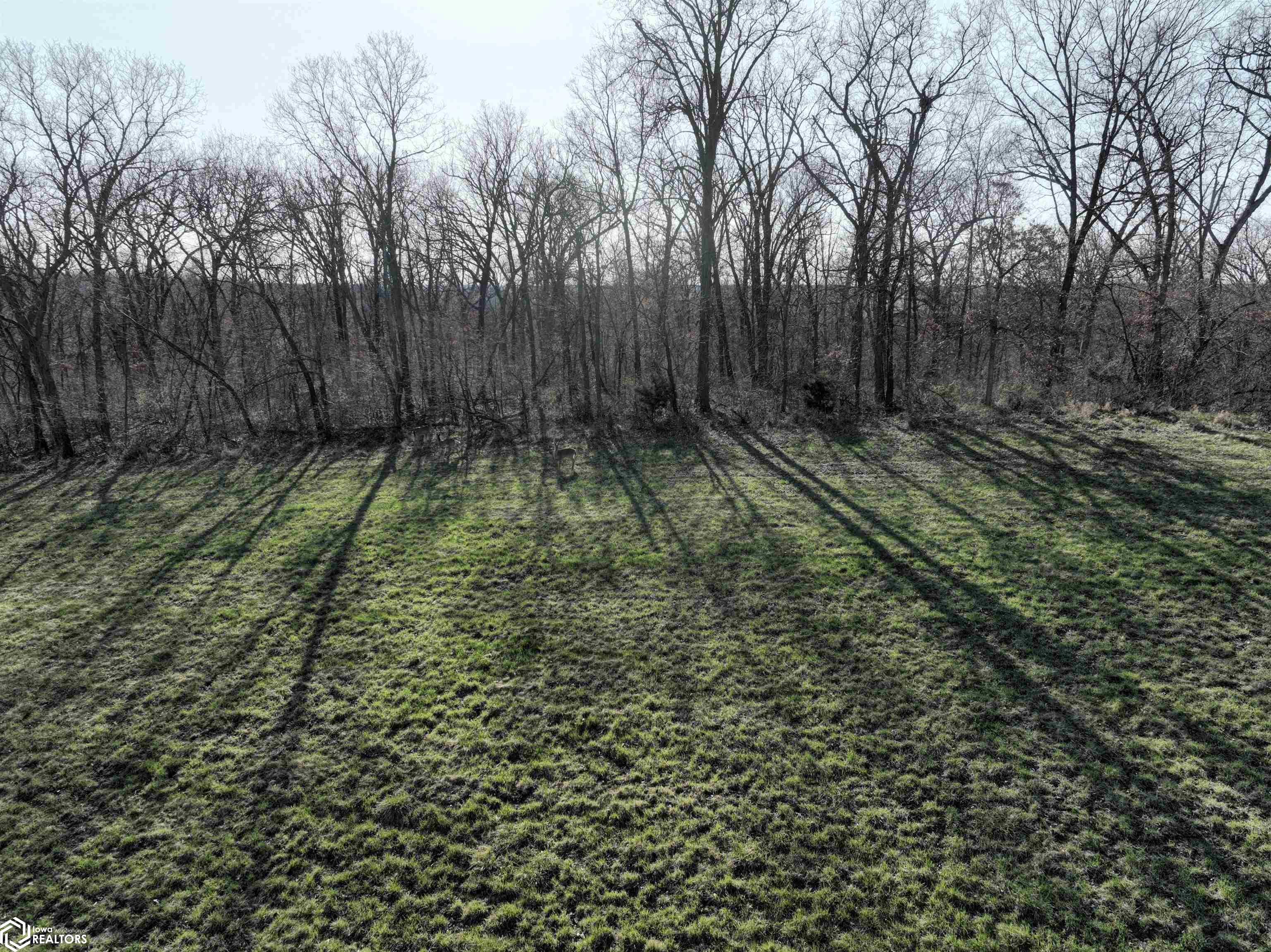 208th Avenue, Ottumwa, Iowa image 7