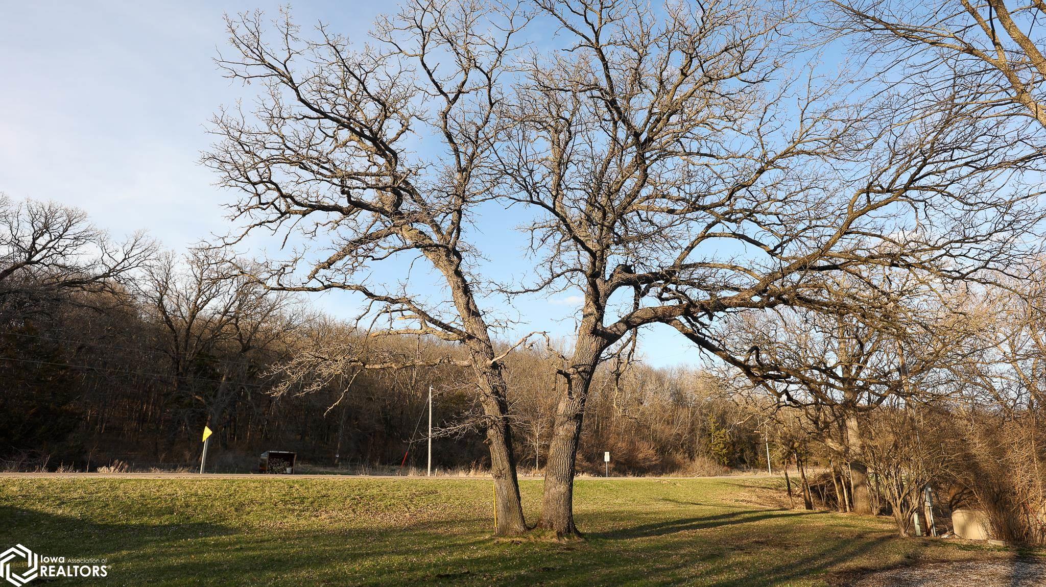 2306 160th Rd., Bayard, Iowa image 31