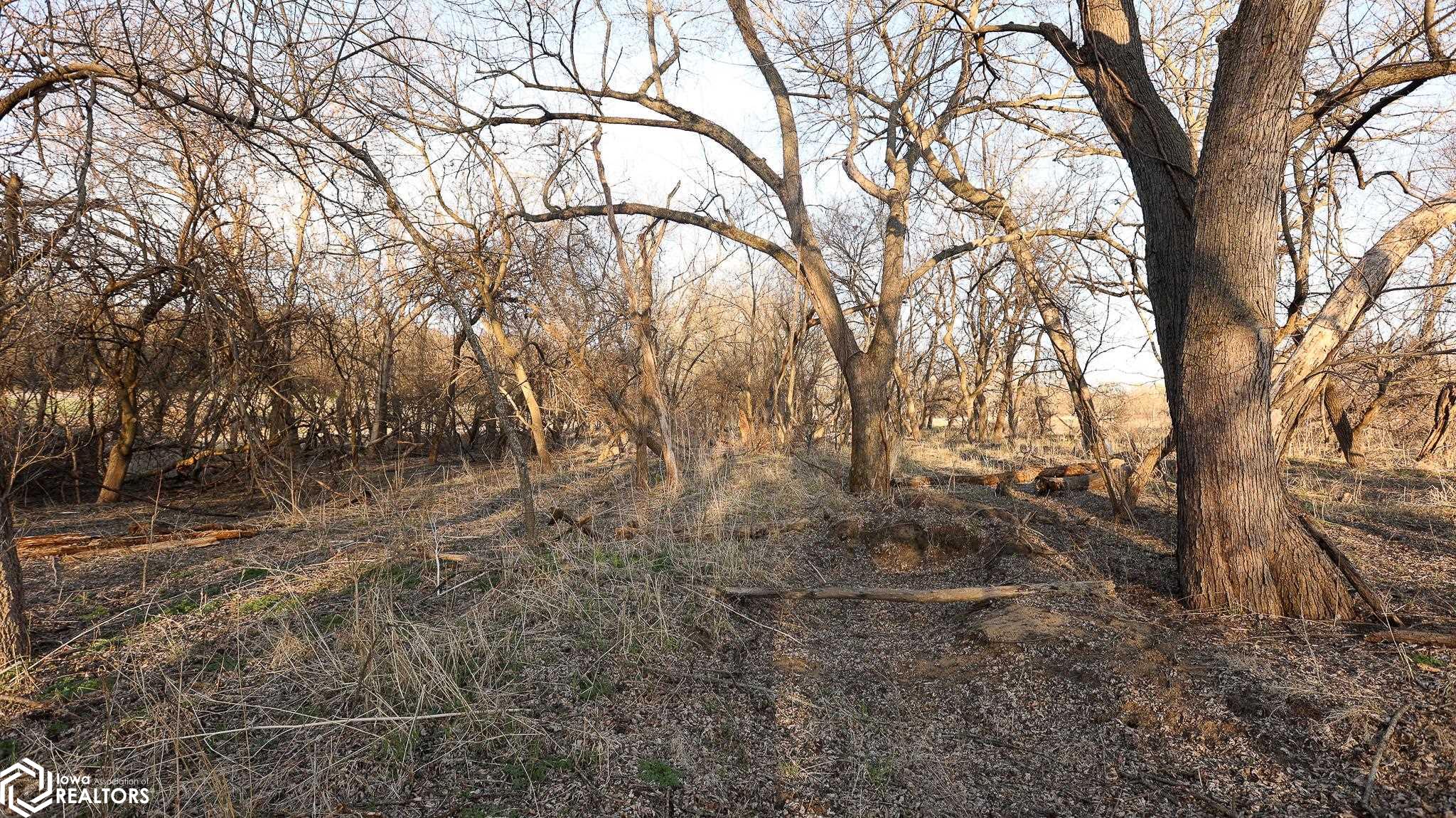 2306 160th Rd., Bayard, Iowa image 41