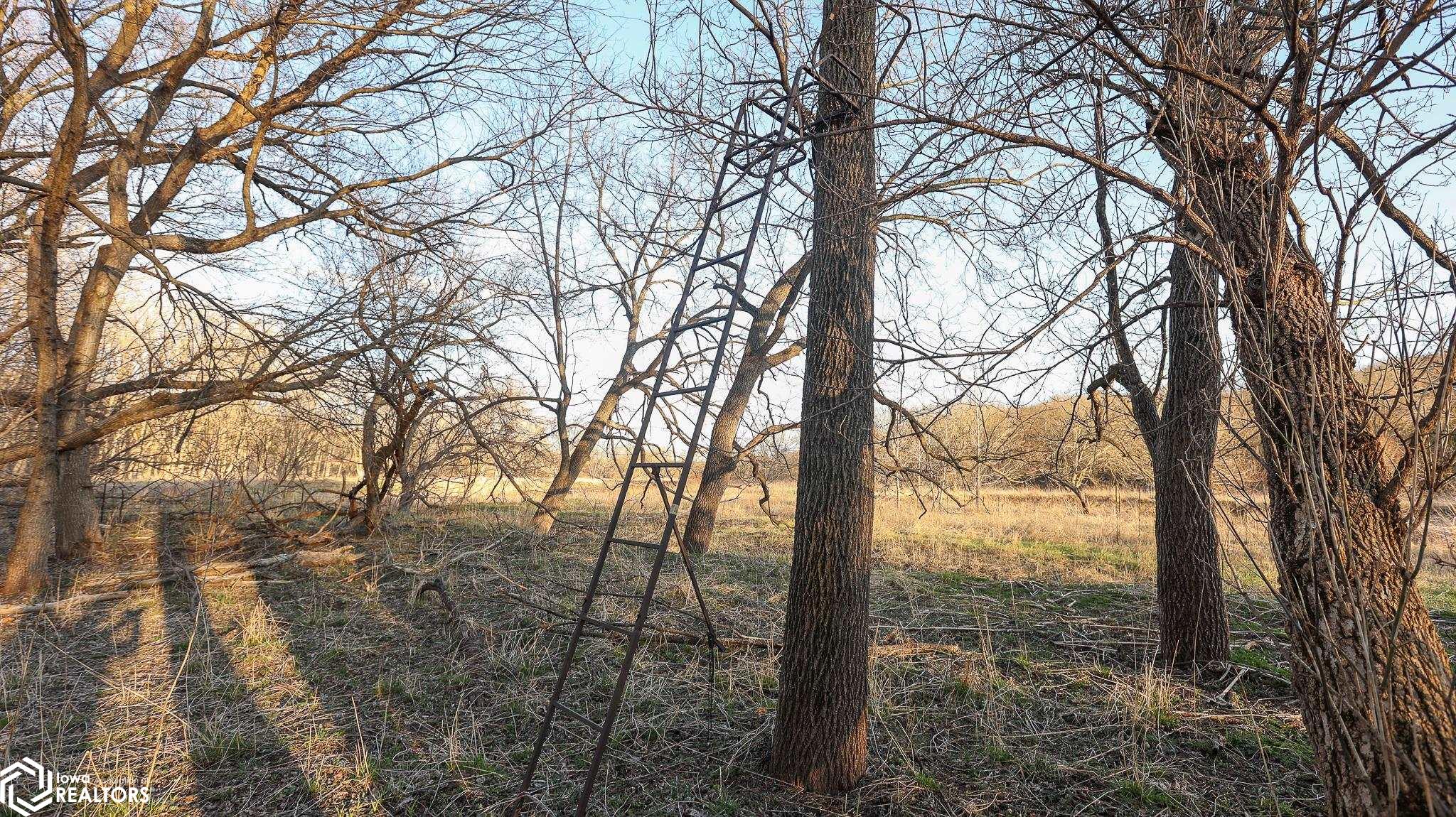 2306 160th Rd., Bayard, Iowa image 44