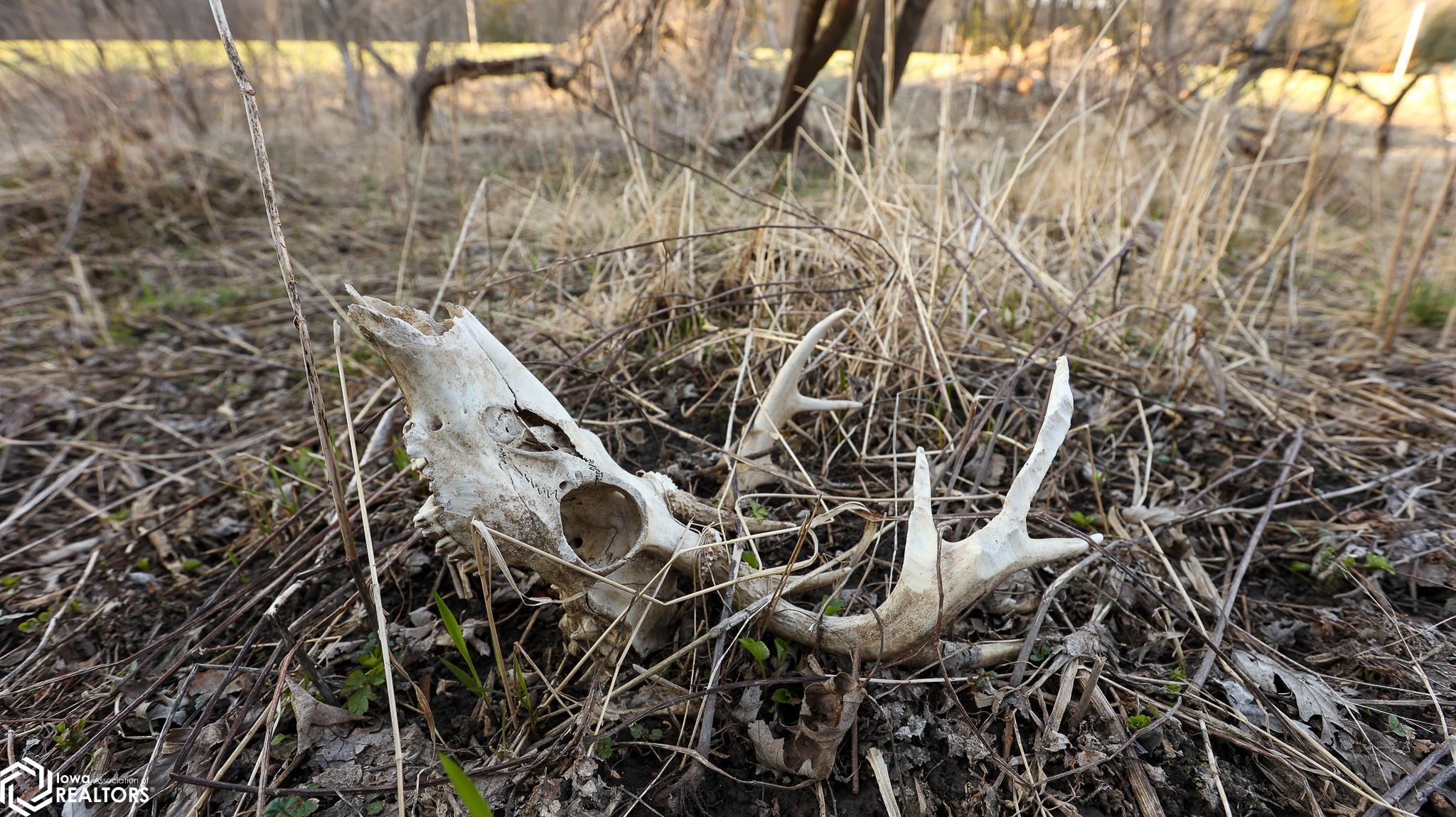 2306 160th Rd., Bayard, Iowa image 45