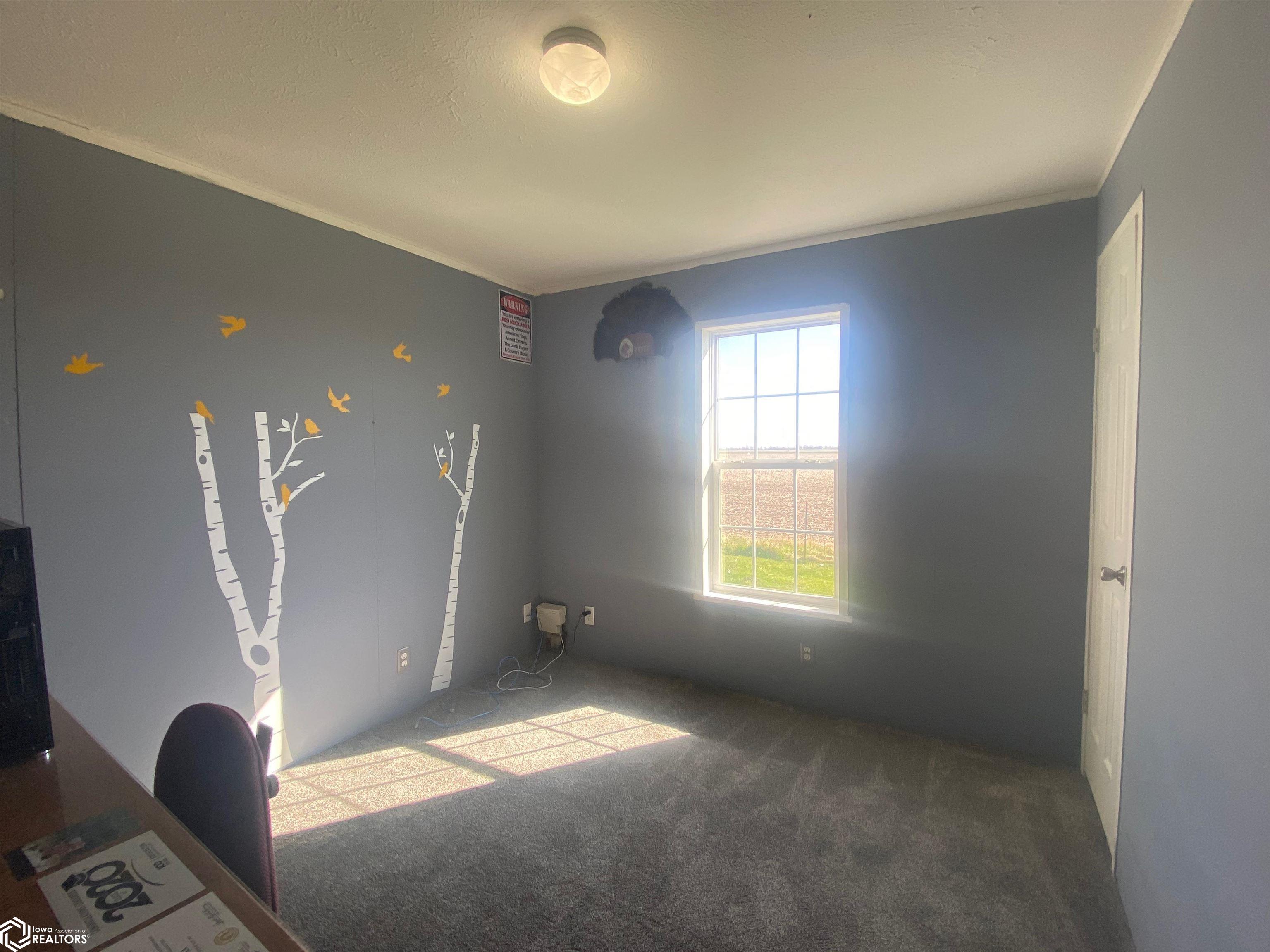 30807 190th Street, Bonaparte, Iowa image 19