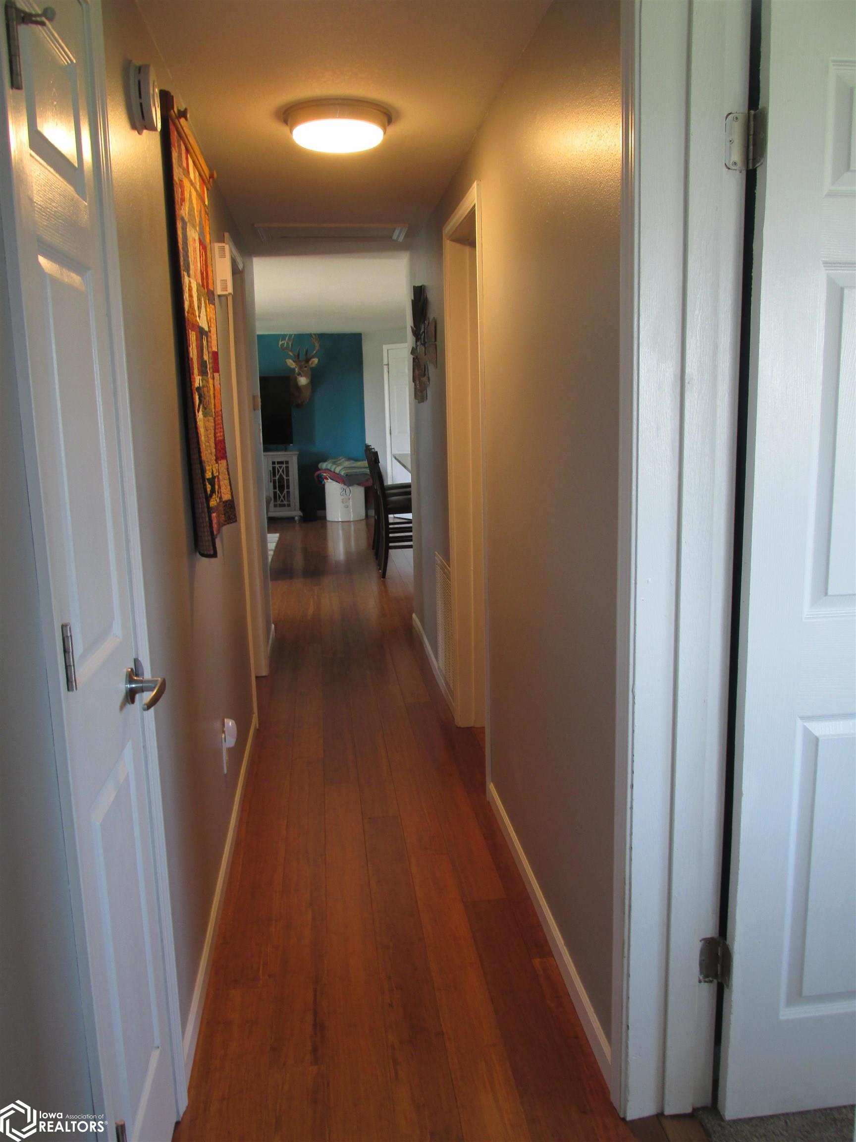 Beautiful Brazilian Bamboo flooring