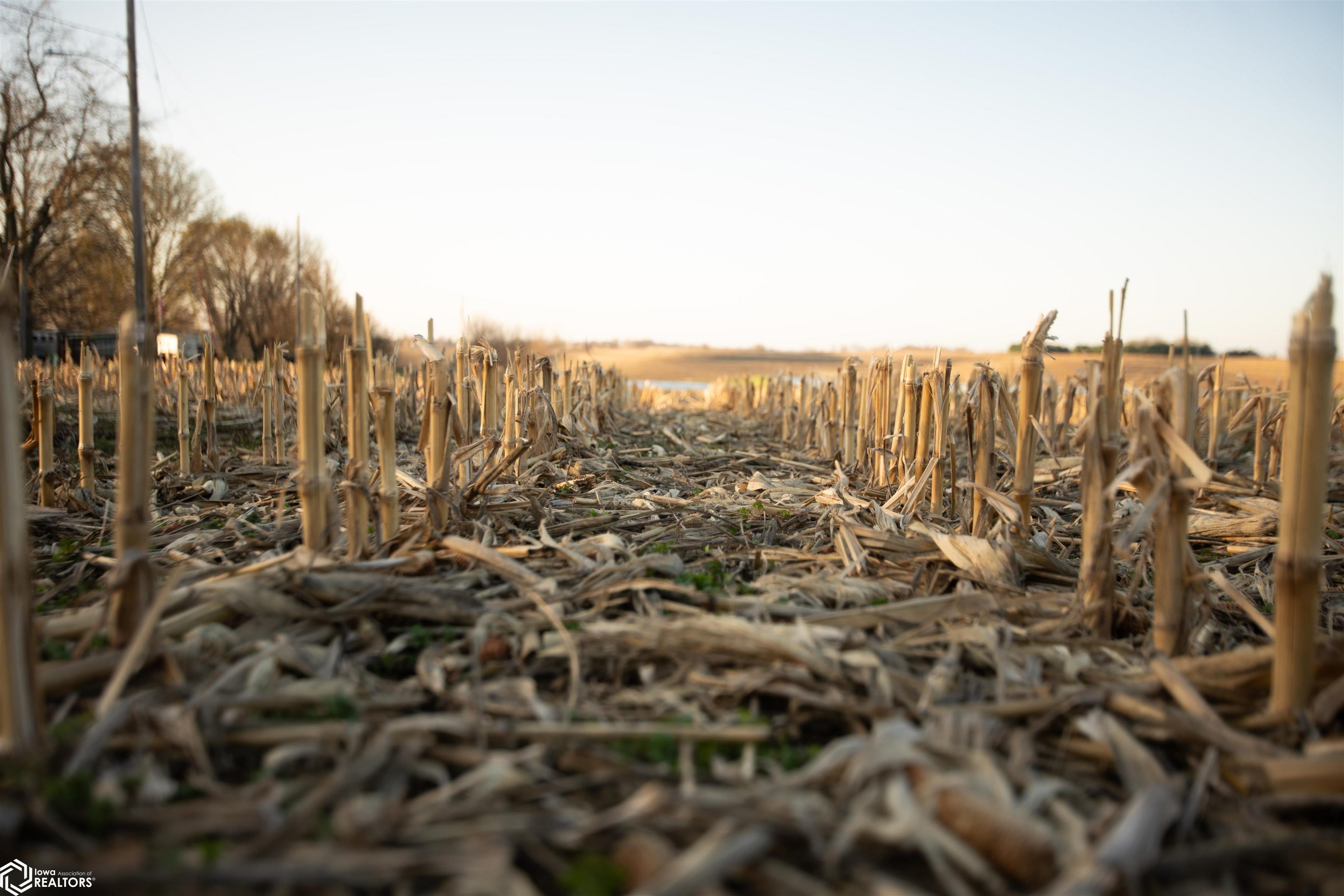 602 Rupp Rd, Sidney, Iowa image 15