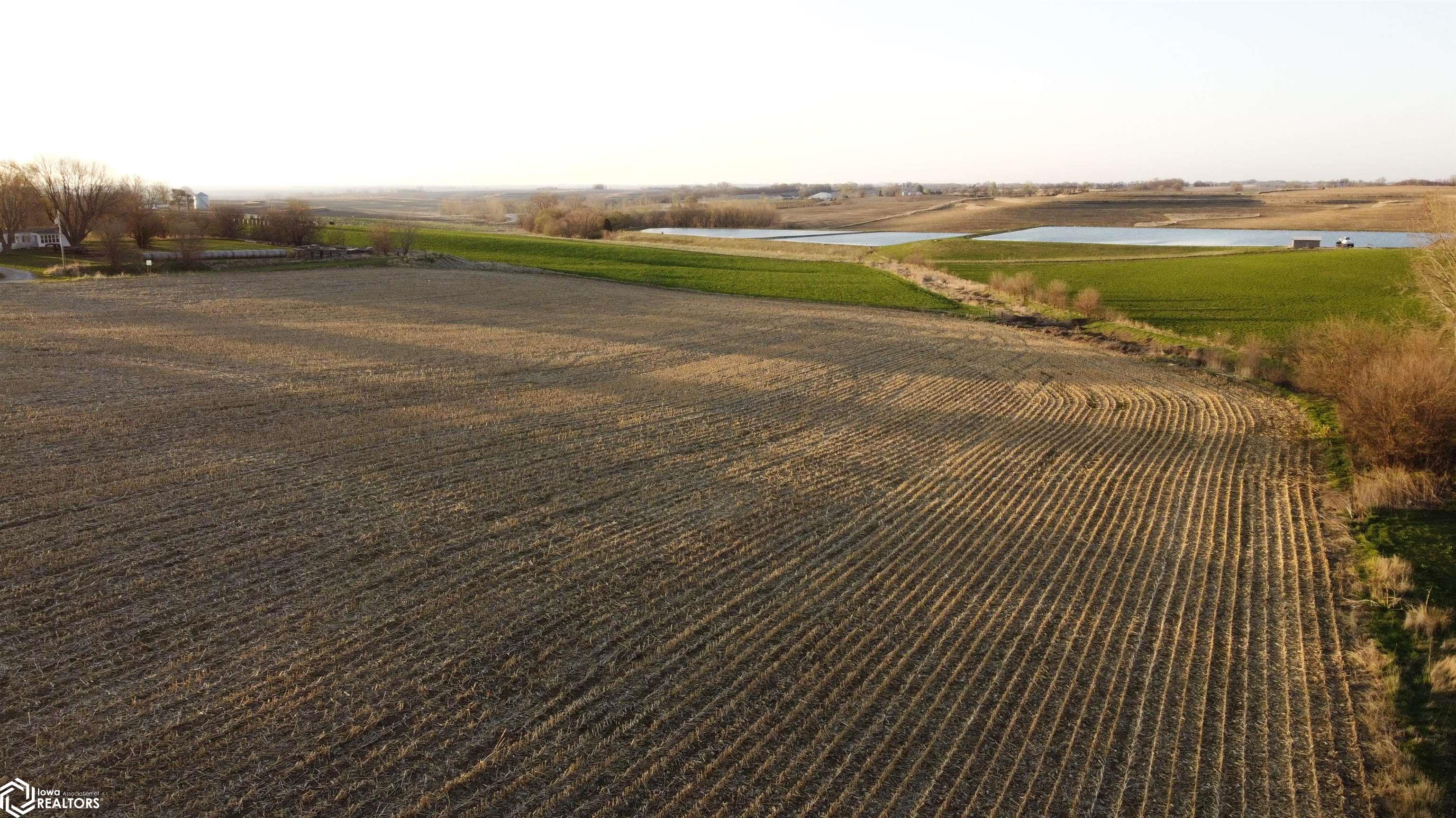 602 Rupp Rd, Sidney, Iowa image 22
