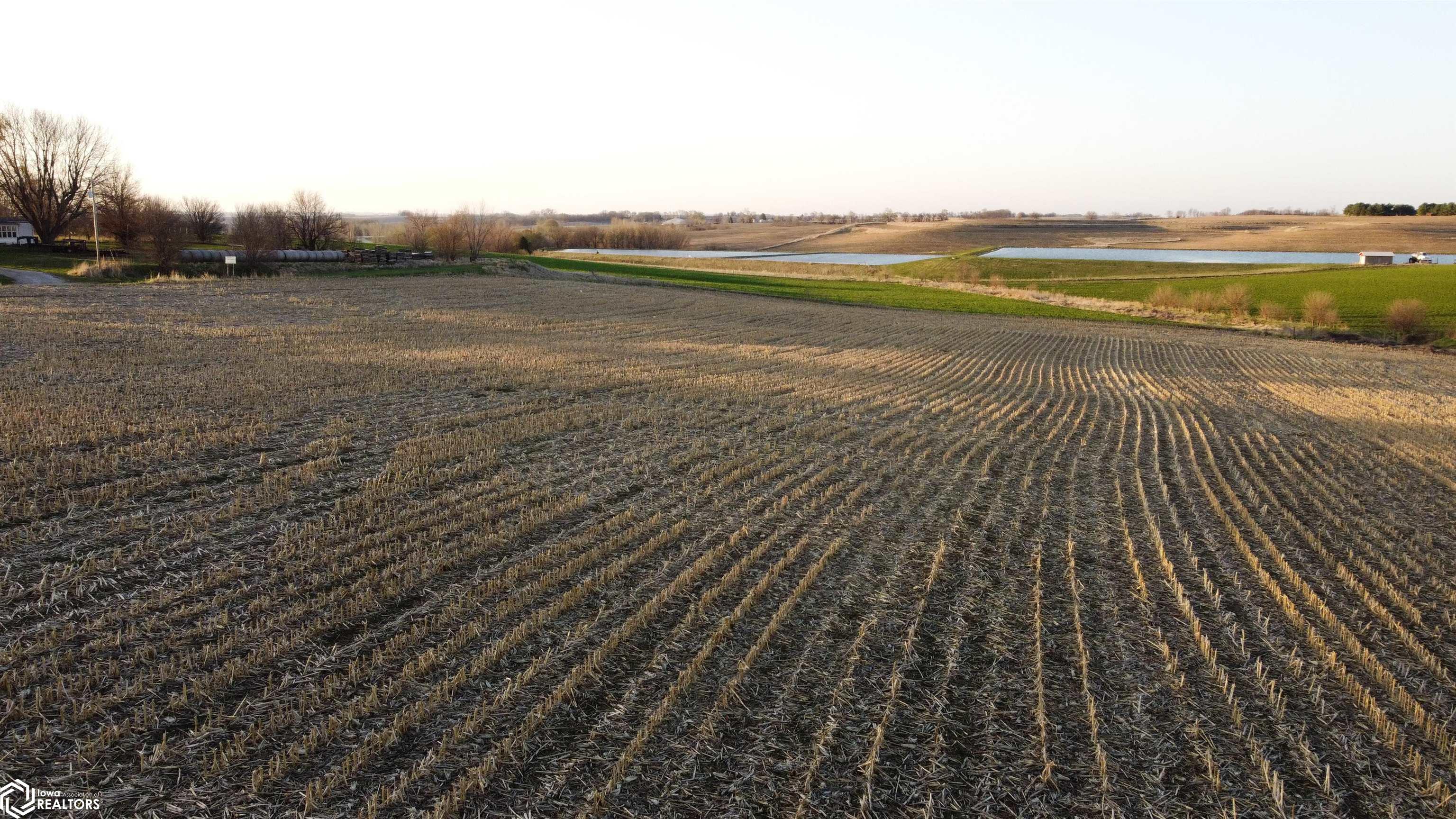 602 Rupp Rd, Sidney, Iowa image 32