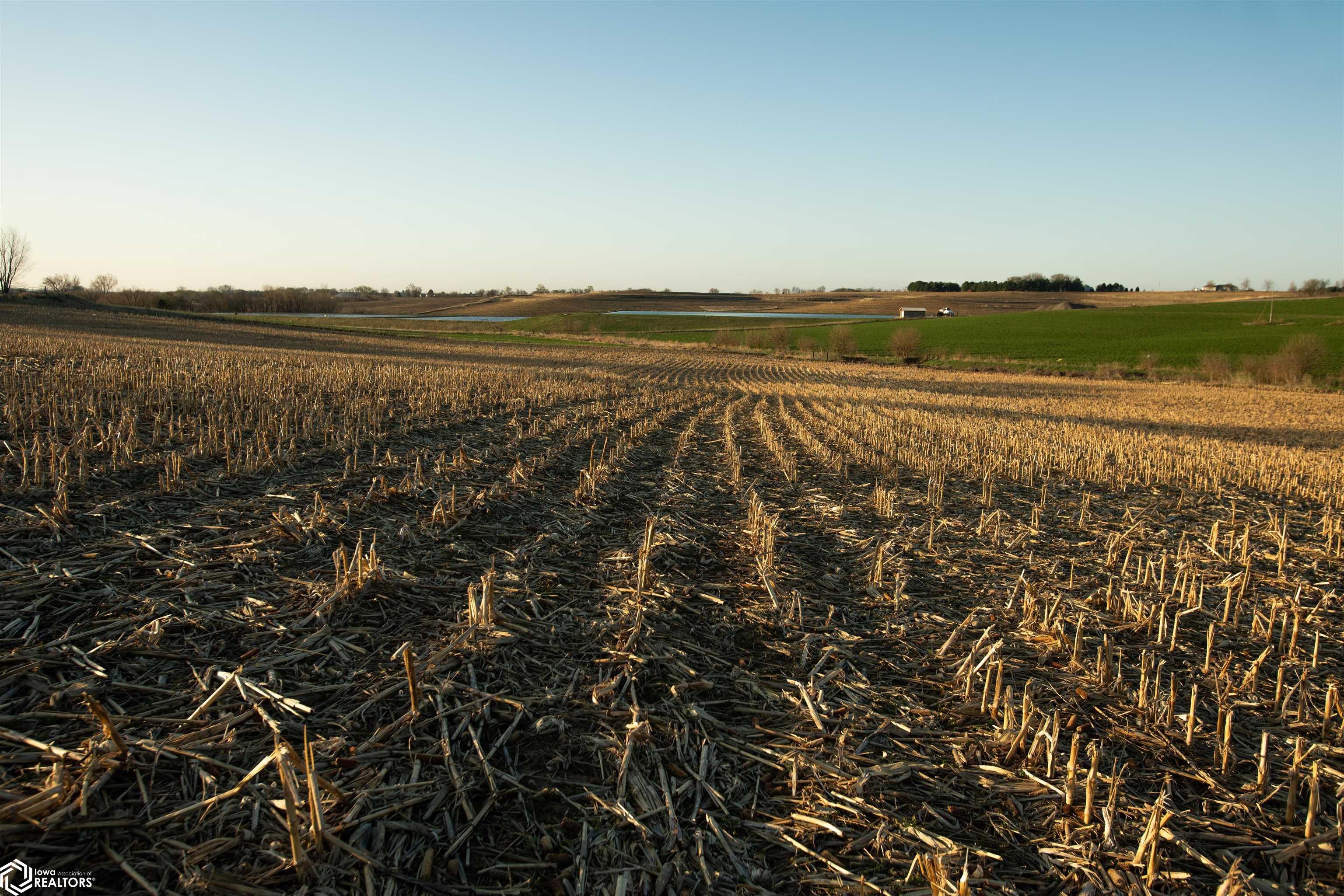602 Rupp Rd, Sidney, Iowa image 36