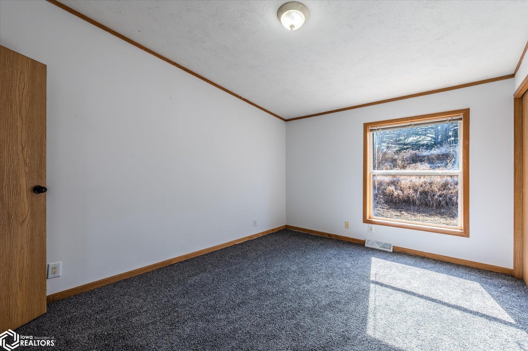 1737 Ithaca Avenue, Mondamin, Iowa image 17