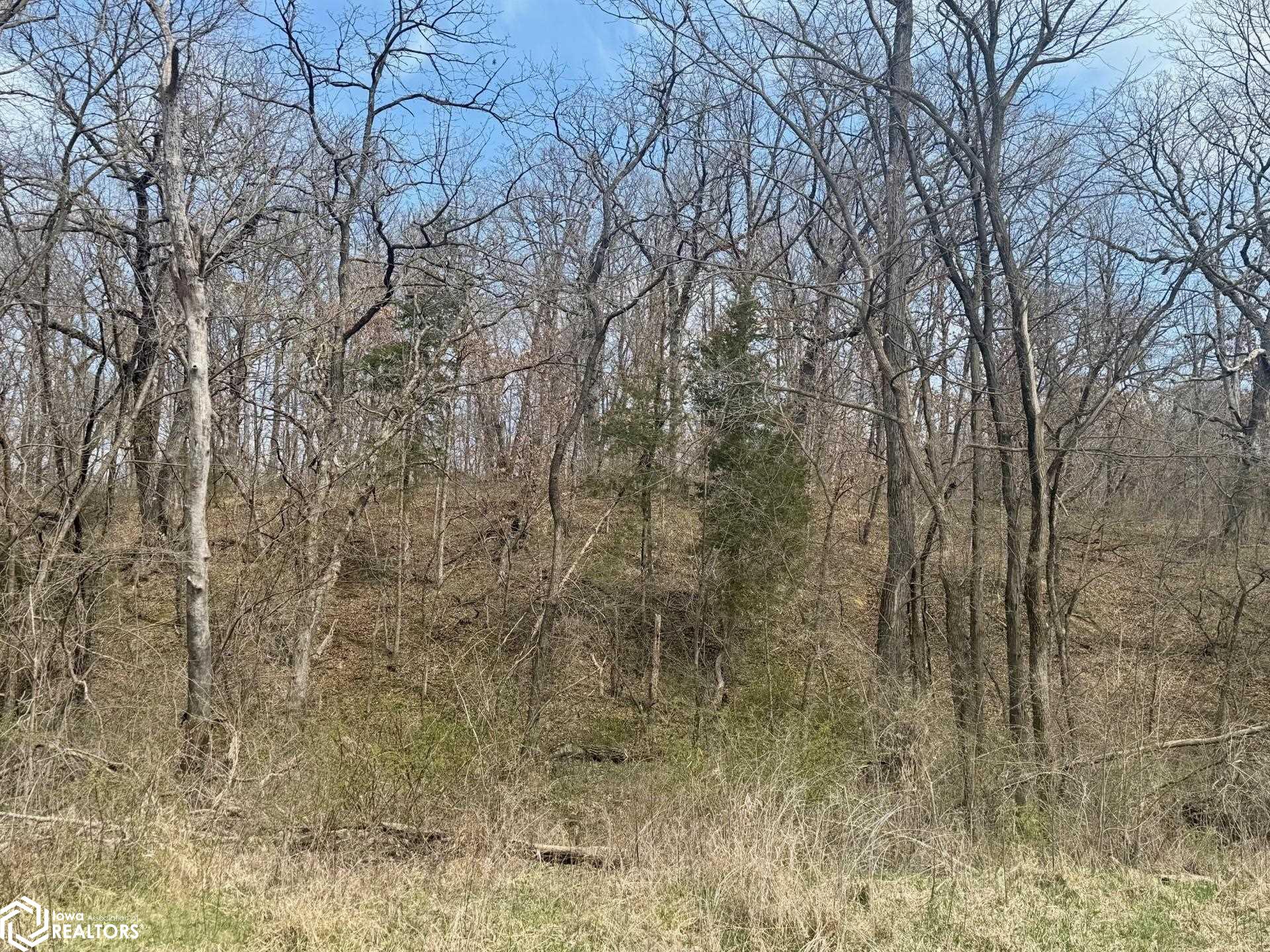 00000 Lime Trail, Bloomfield, Iowa image 7