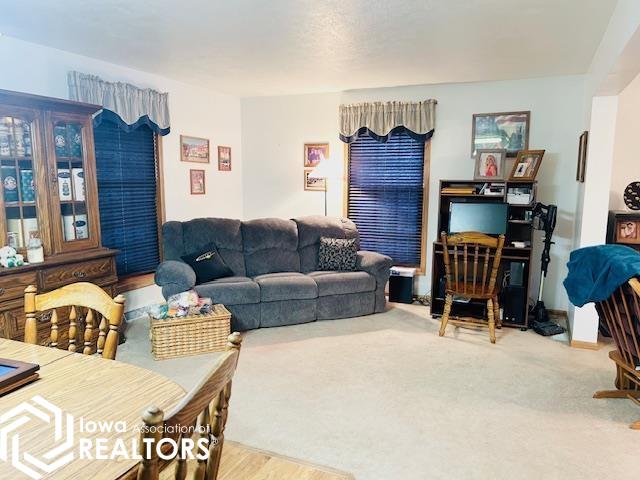 122 Horseshoe Drive, Montezuma, Iowa image 14