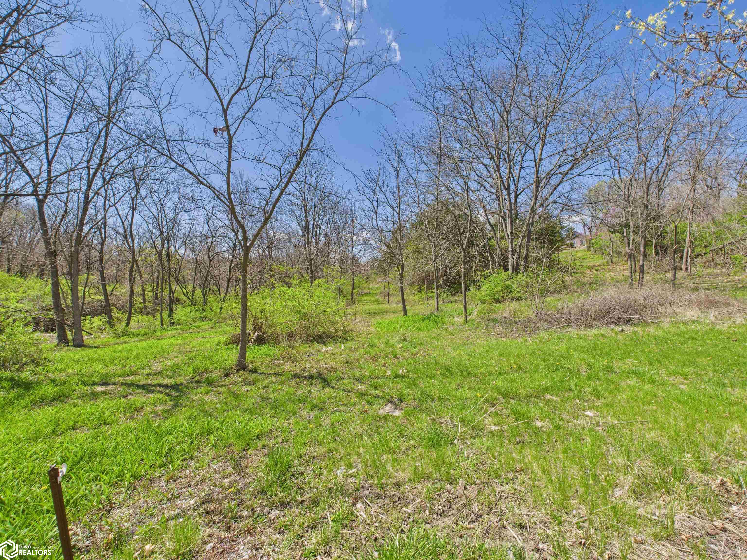 425 S 9th Street, Hamilton, Illinois image 4