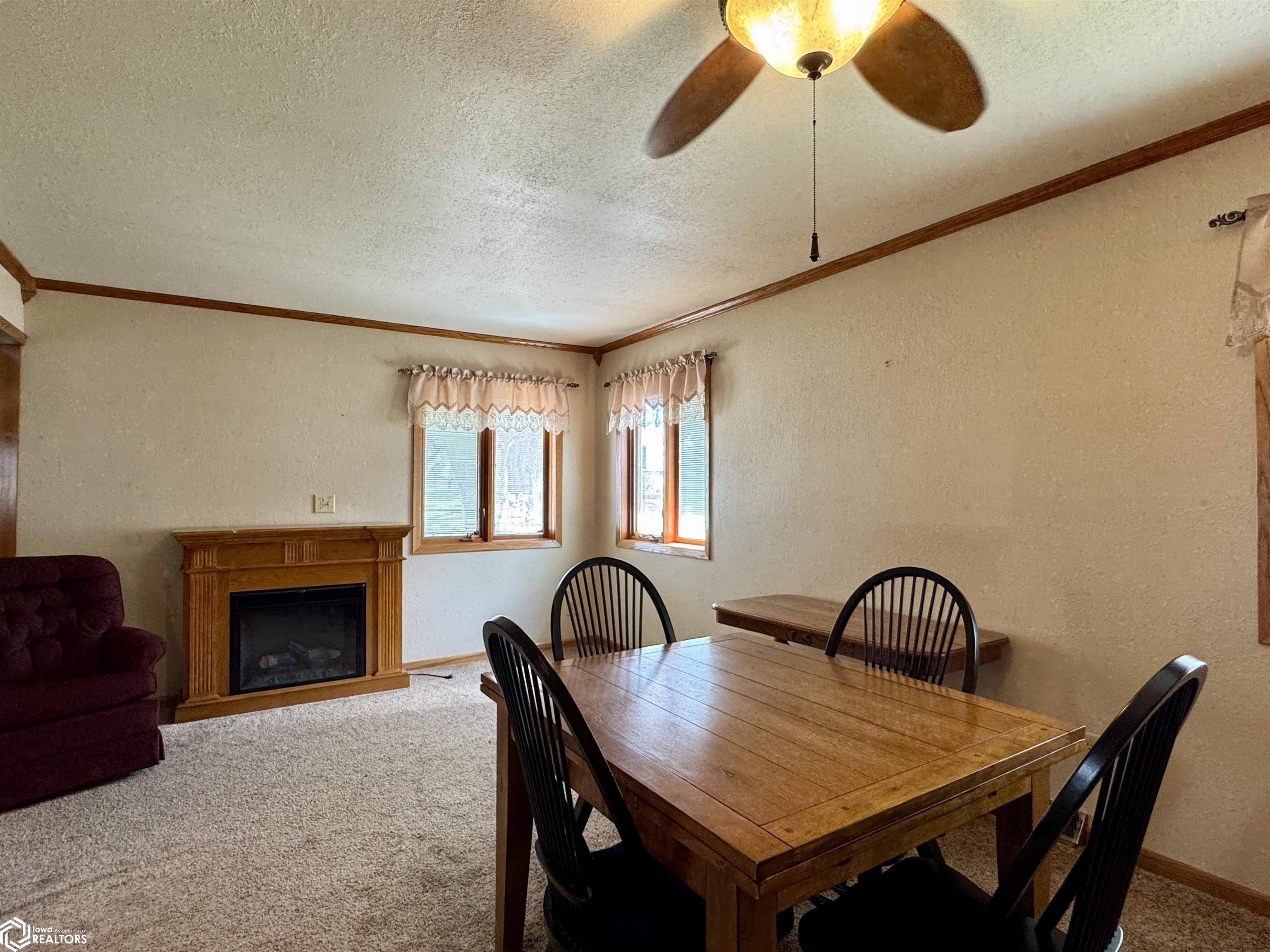 107 Knutsen Street, Exira, Iowa image 9