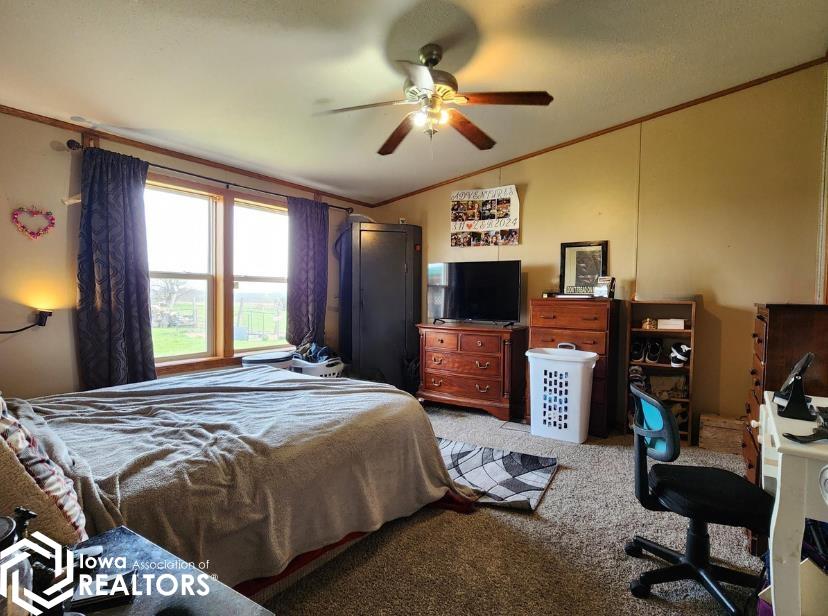 21393 415th Street, Chariton, Iowa image 23