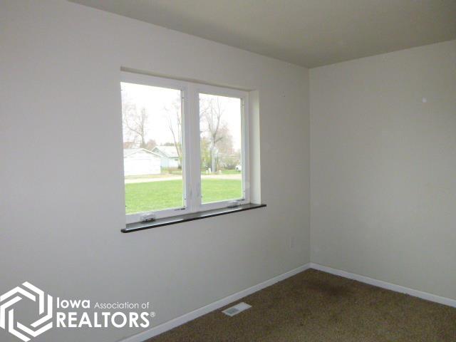 305 S Chestnut Street, Winfield, Iowa image 29