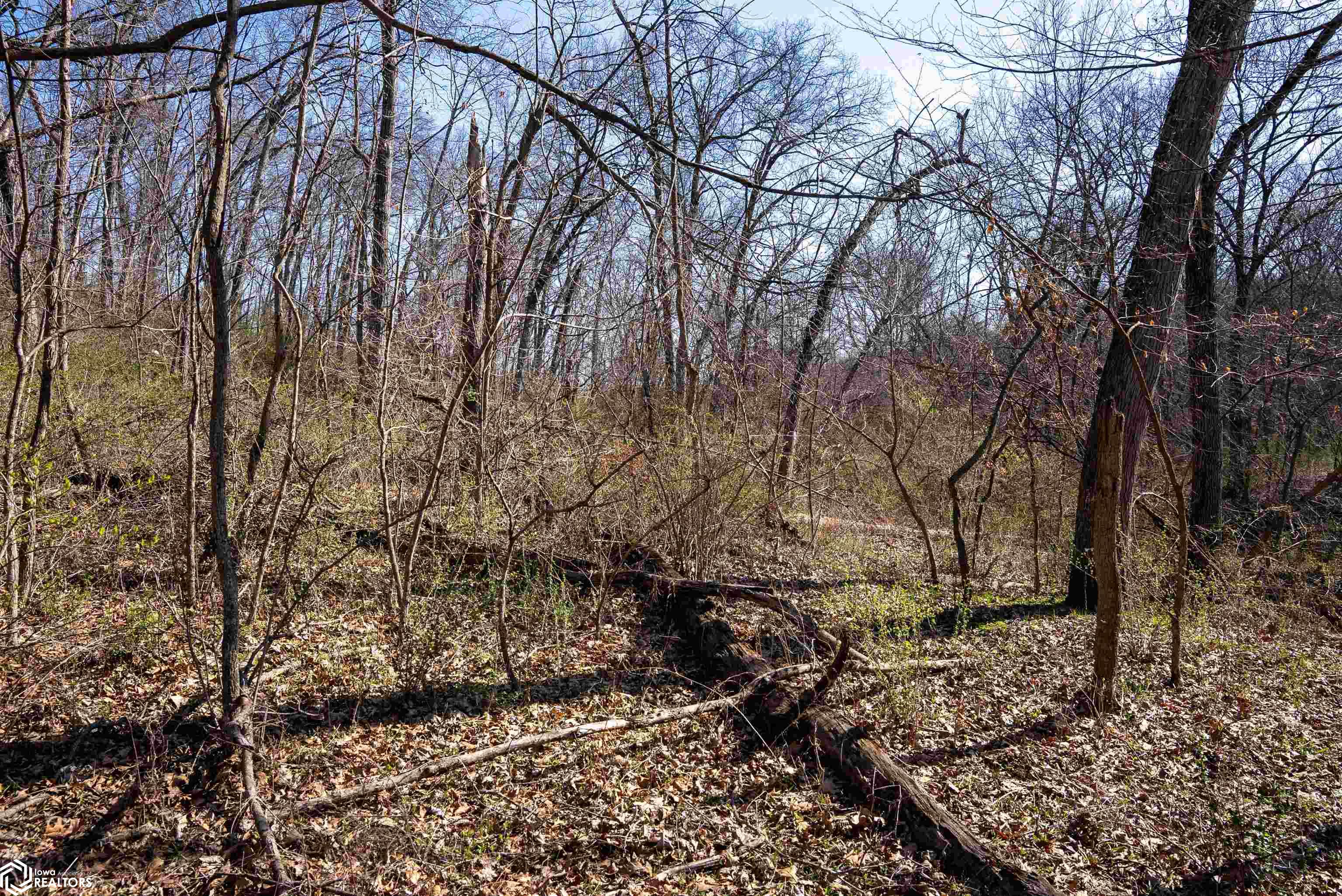 TBD 28th Street, Ottumwa, Iowa image 38