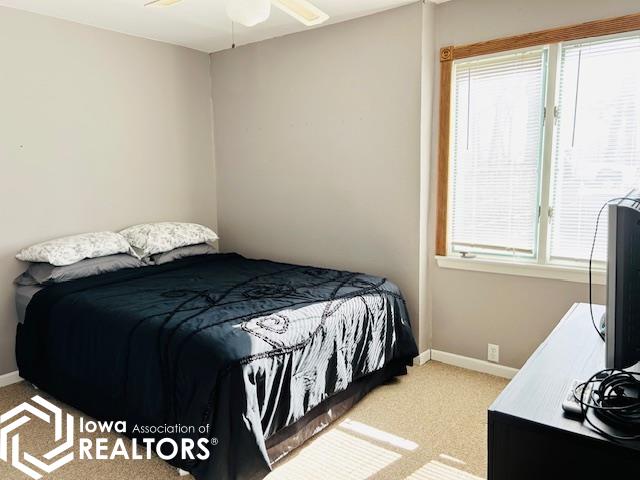 111 Cottage Lane, Montezuma, Iowa image 22