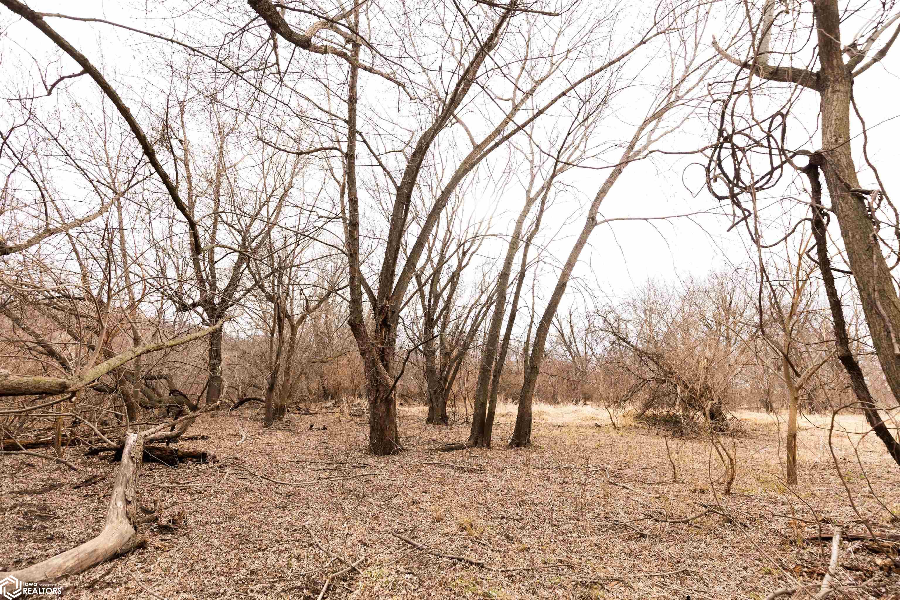 TBD Dogwood Avenue, Brighton, Iowa image 15