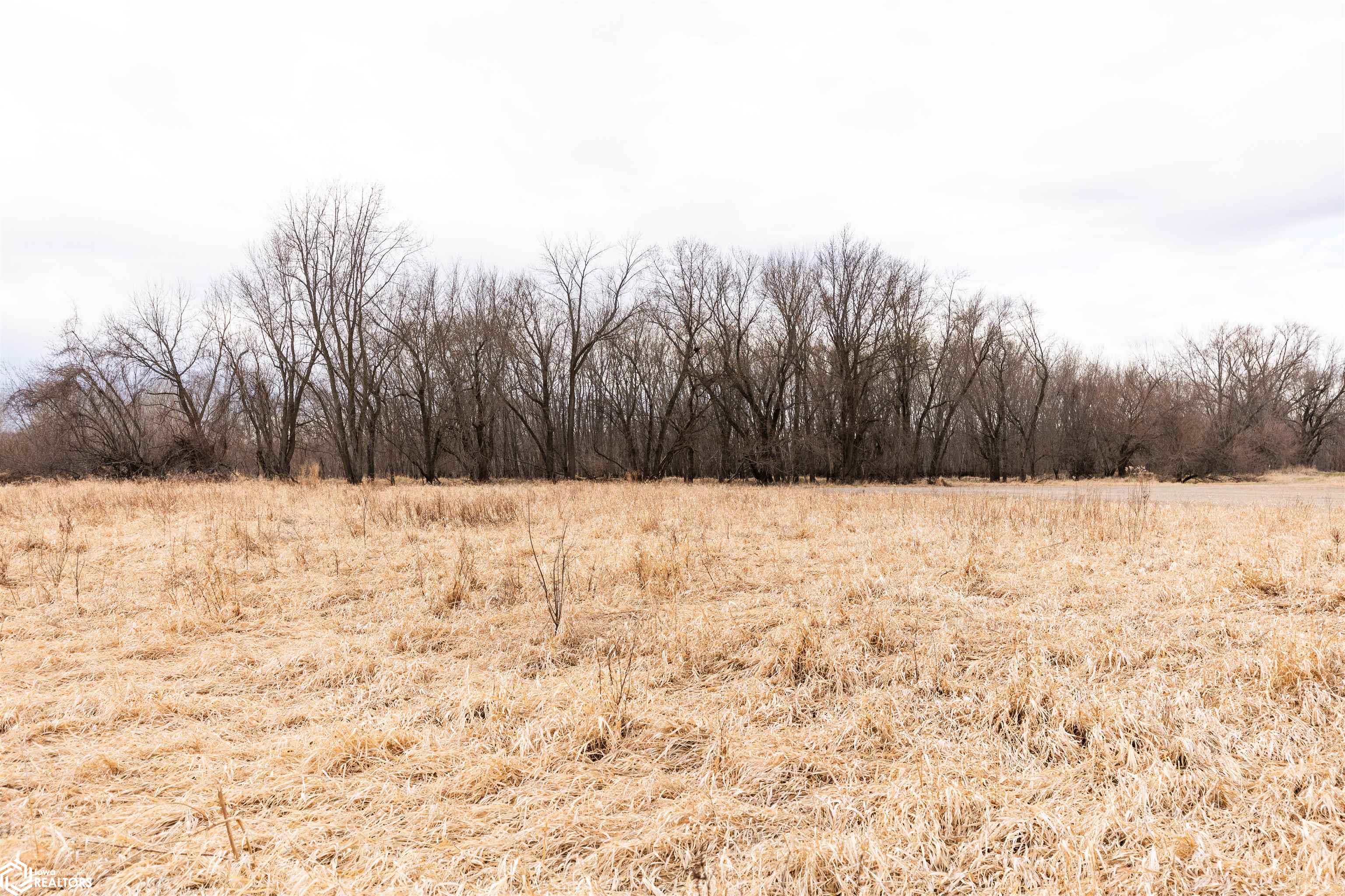 TBD Dogwood Avenue, Brighton, Iowa image 16